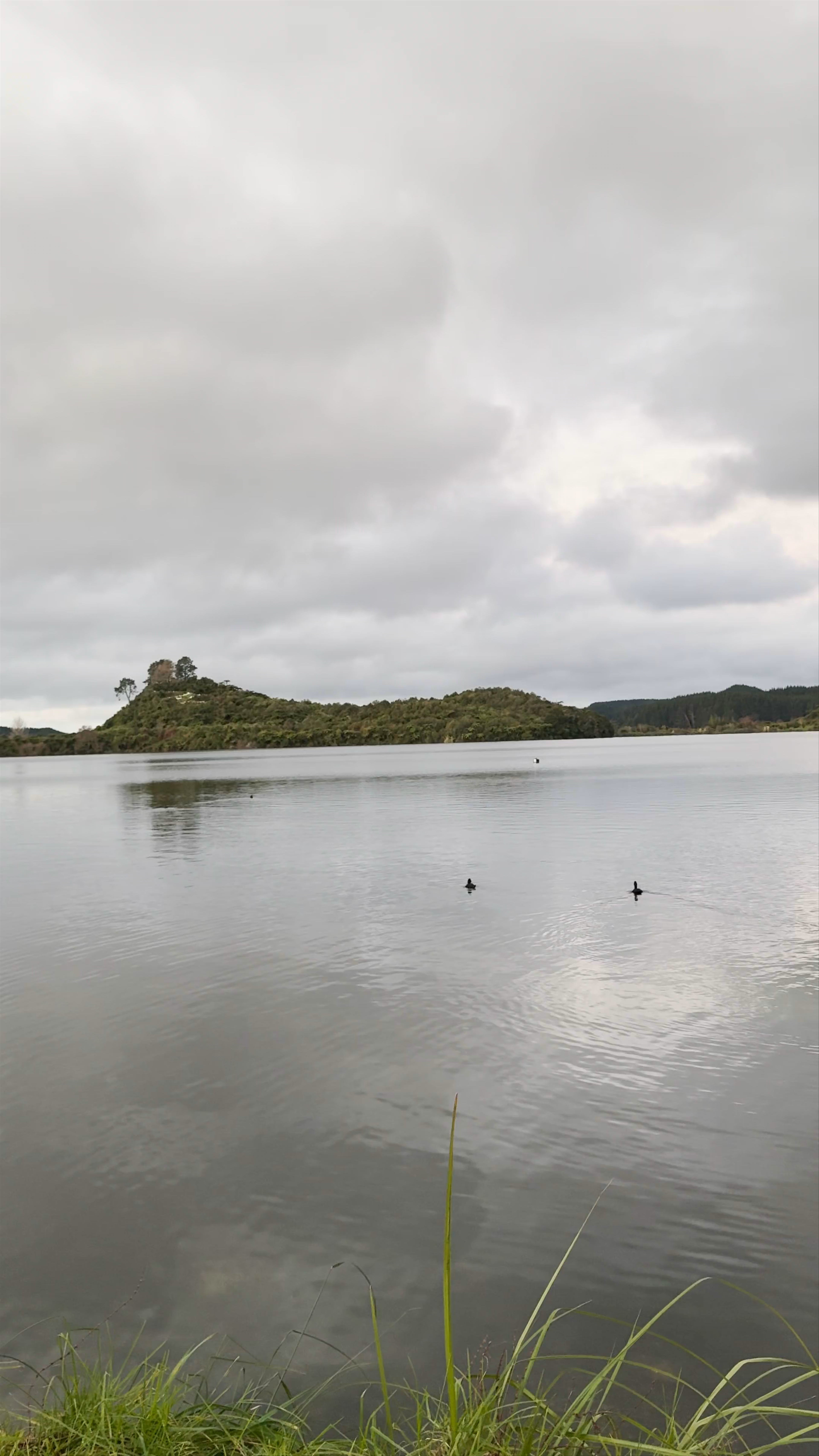 Ōkawa Bay Reserve: Serene Lakeside Escape in Rotorua