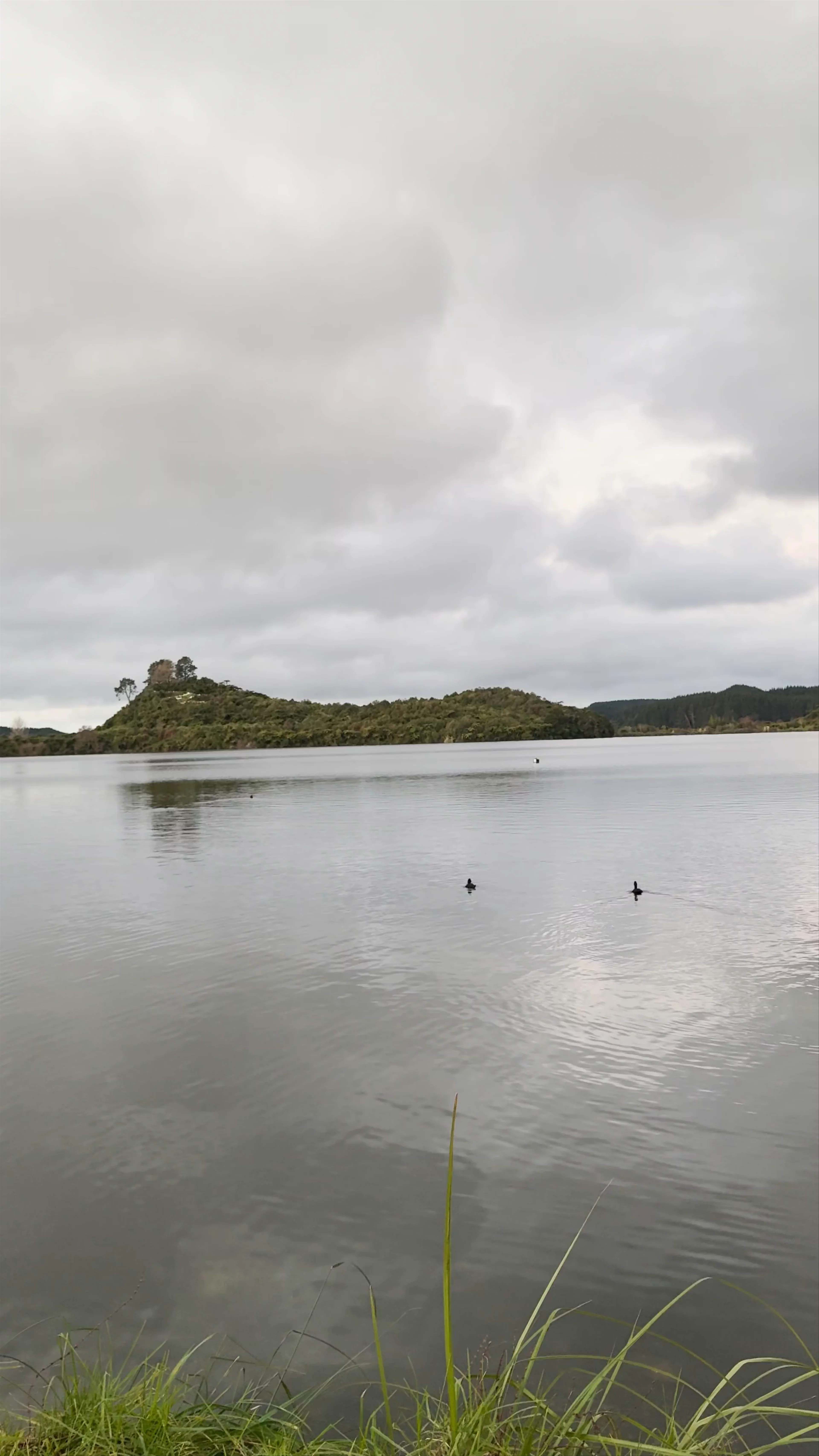 Ōkawa Bay Reserve