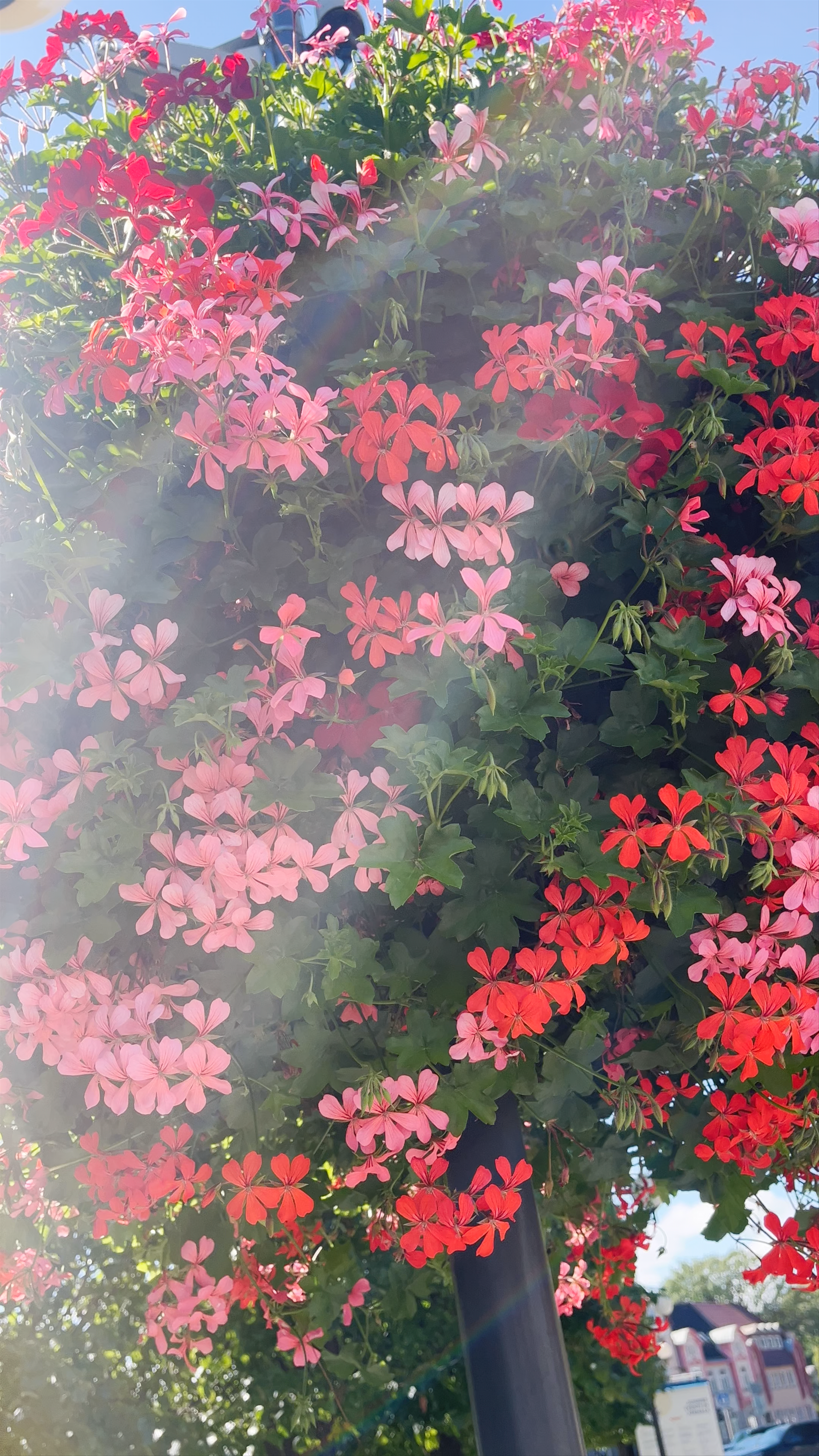 Fountain "The Horizon"