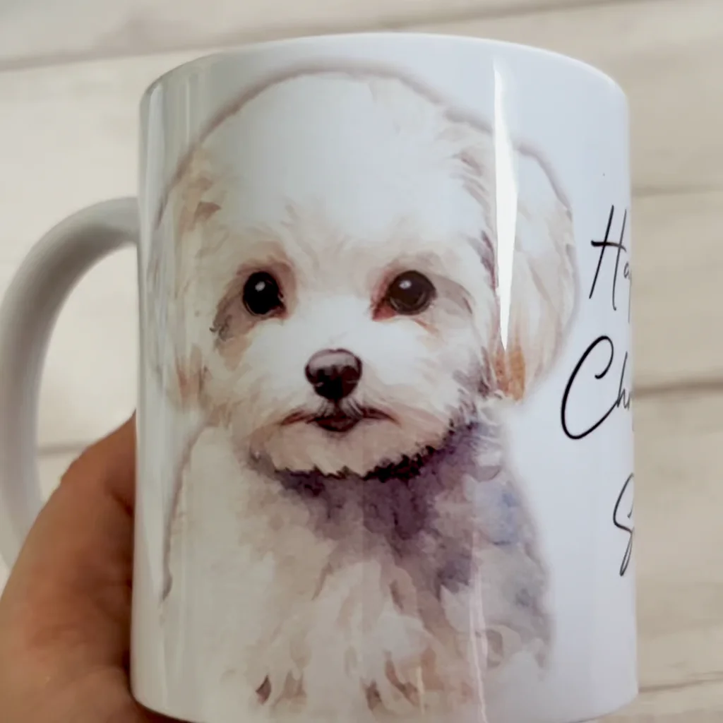 Product video