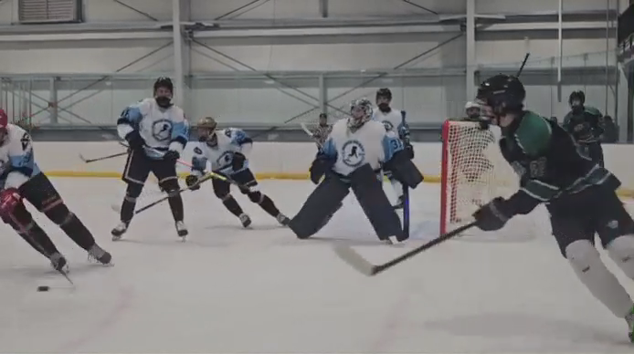 Shane Walker's Stellar Highlights | Mobile Hockey 16U AAA Summer