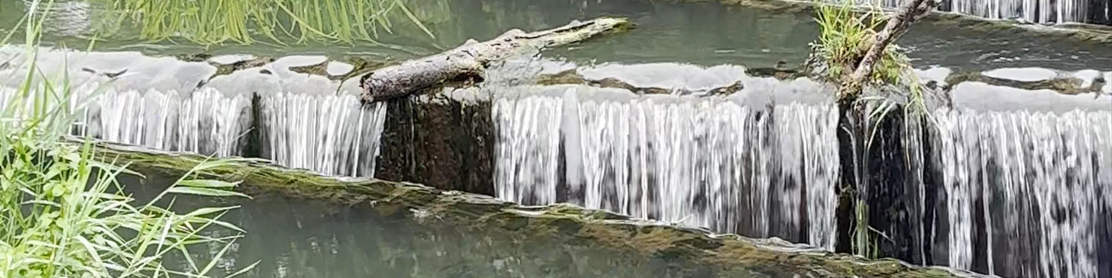 Fobney Island Weir