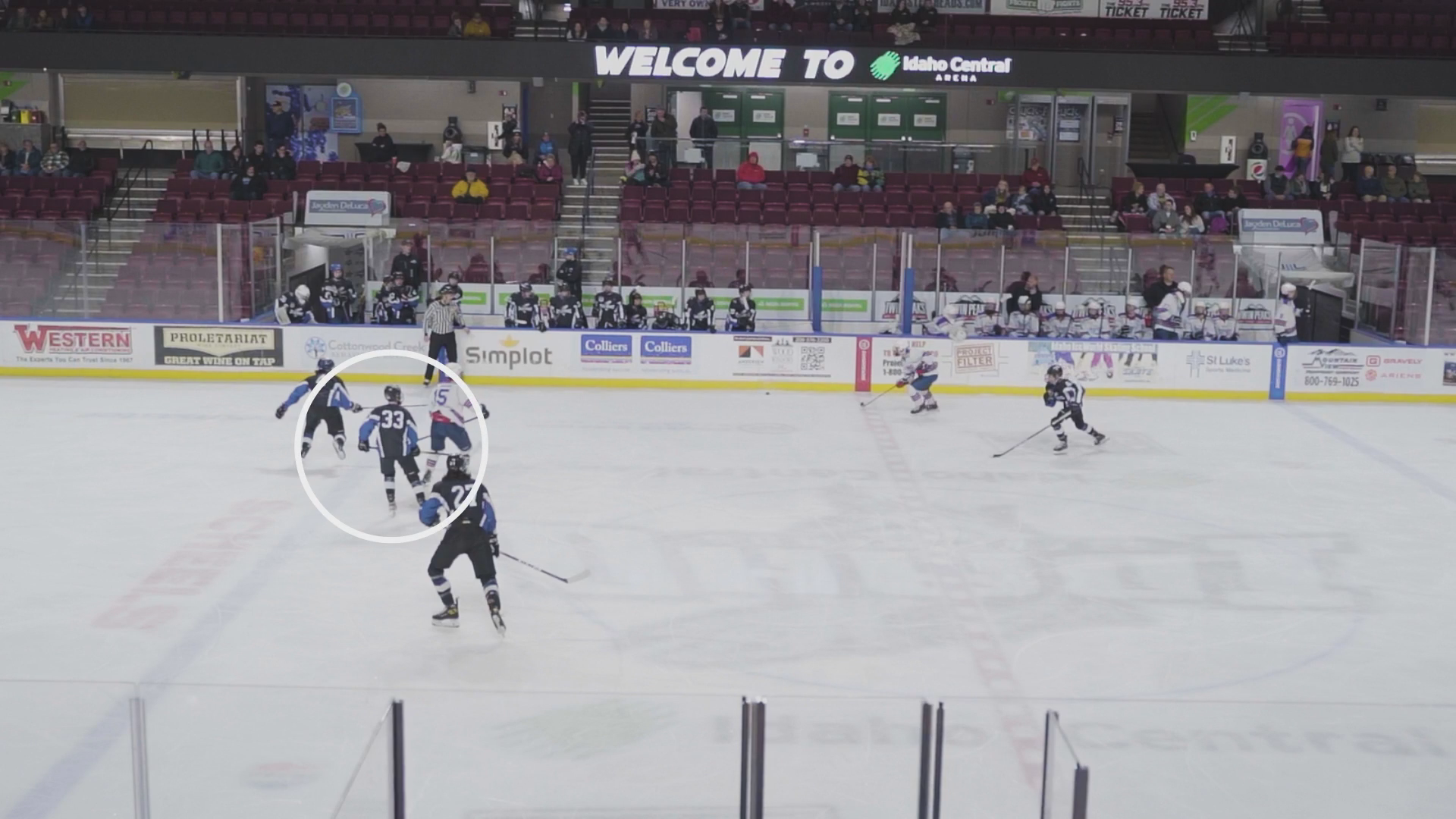 Matthew DiPalma's Highlight Reel: Goals & Plays from JRS