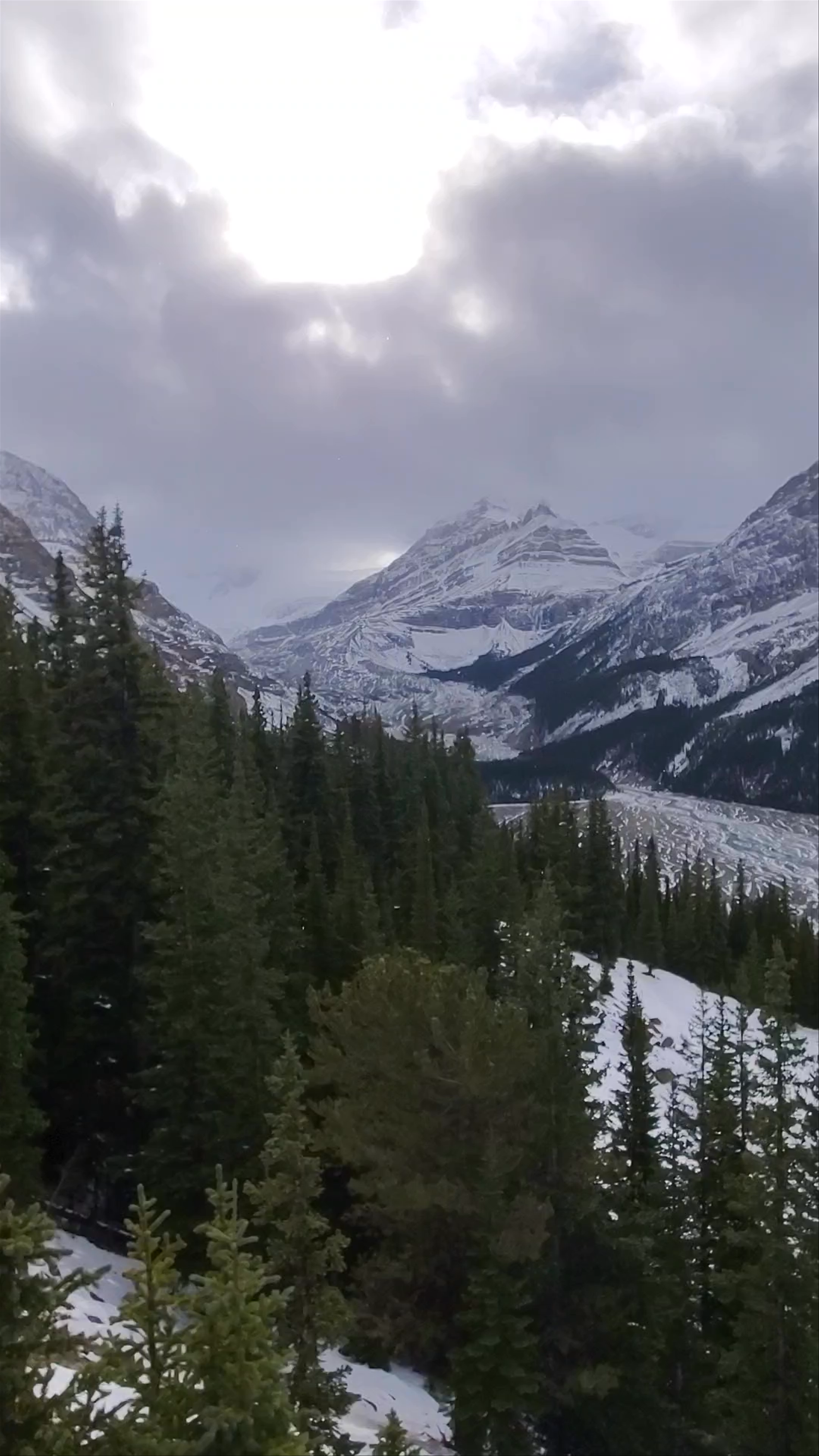 Peyto Lake: Majestic Winter Wilderness in Alberta