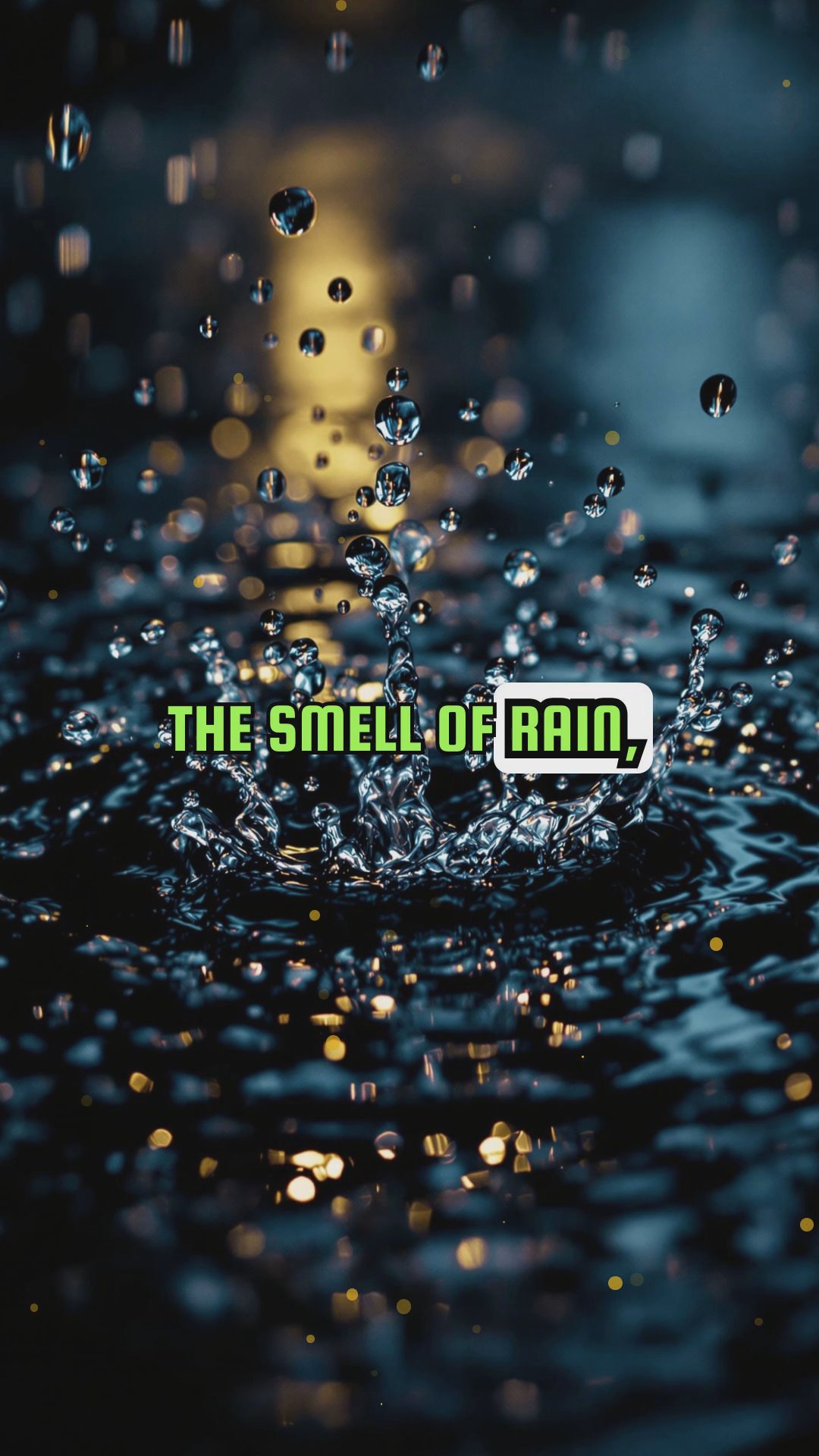 The Science Behind the Smell of Rain