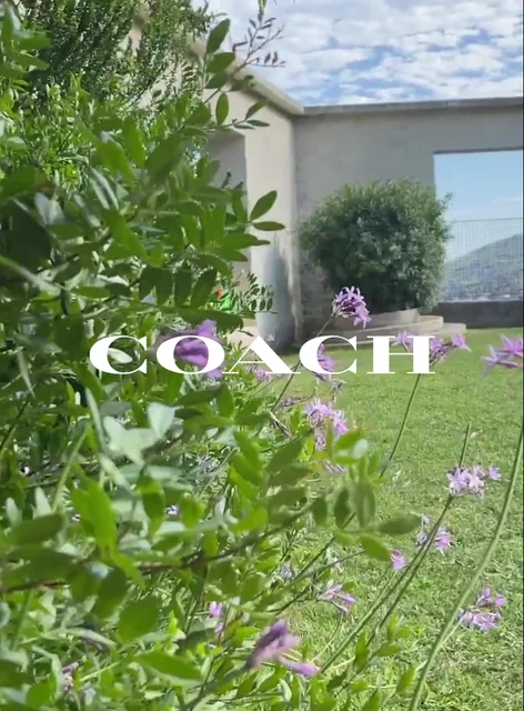 Coach - © Artlist