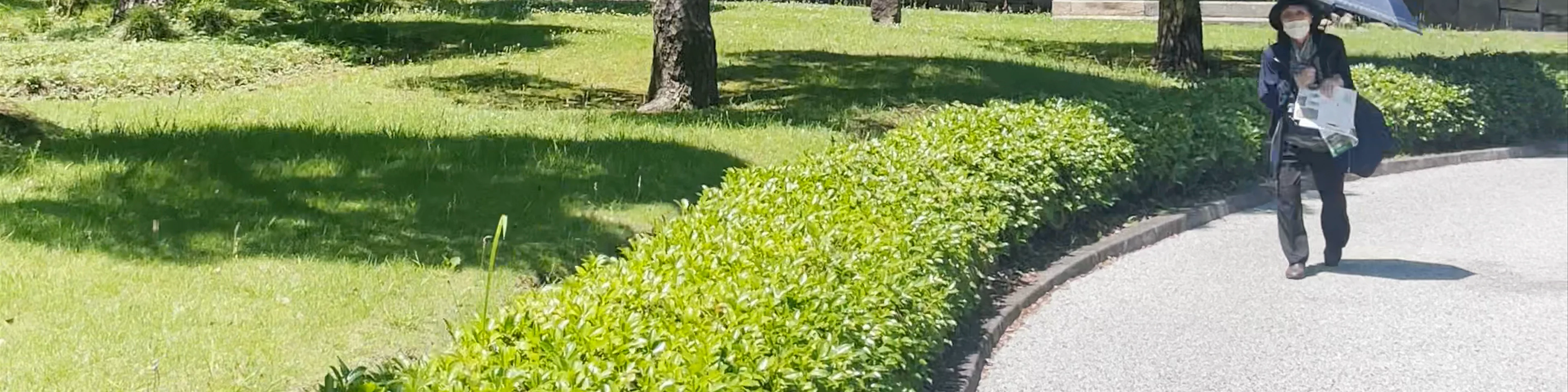 The East Gardens of the Imperial Palace