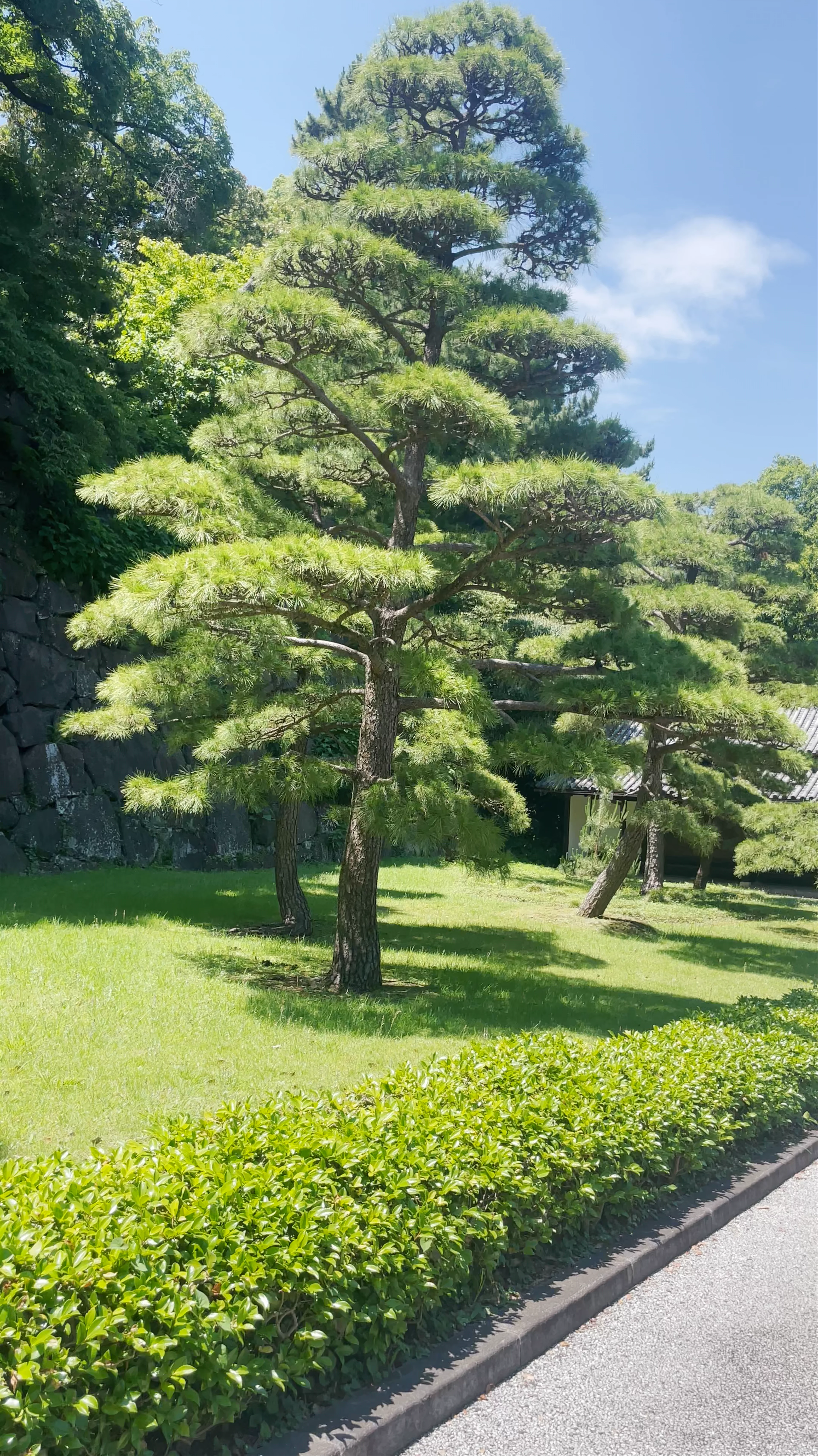 The East Gardens of the Imperial Palace