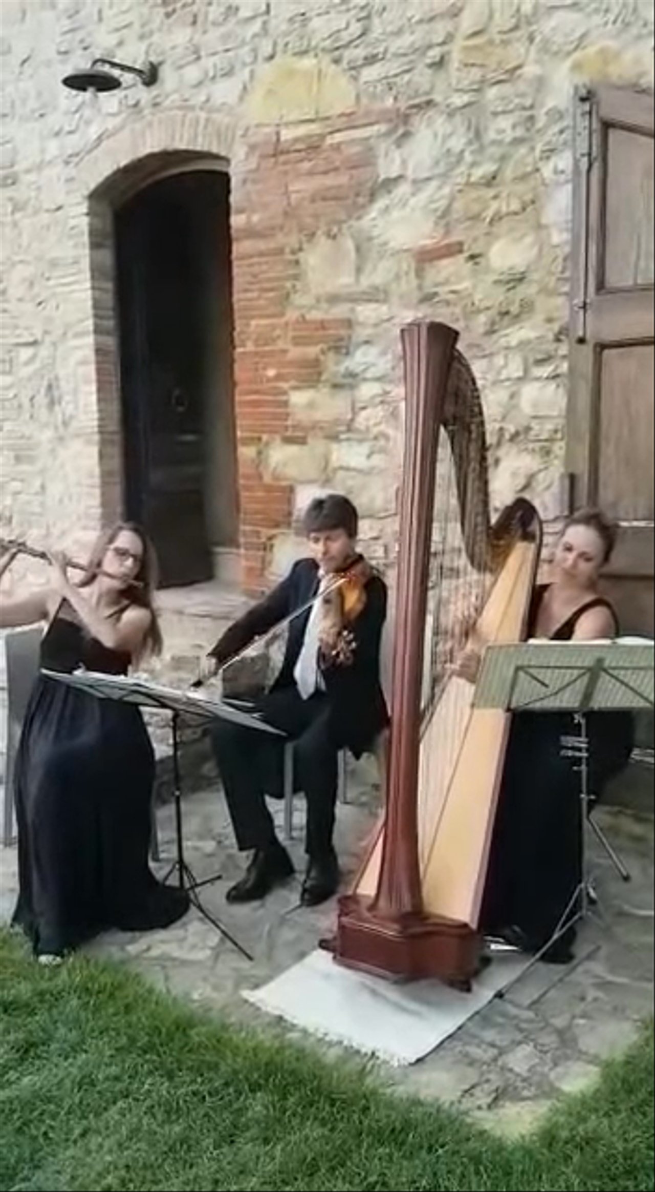 Flute, Harp & Violin Trio - Love Me Tender - video