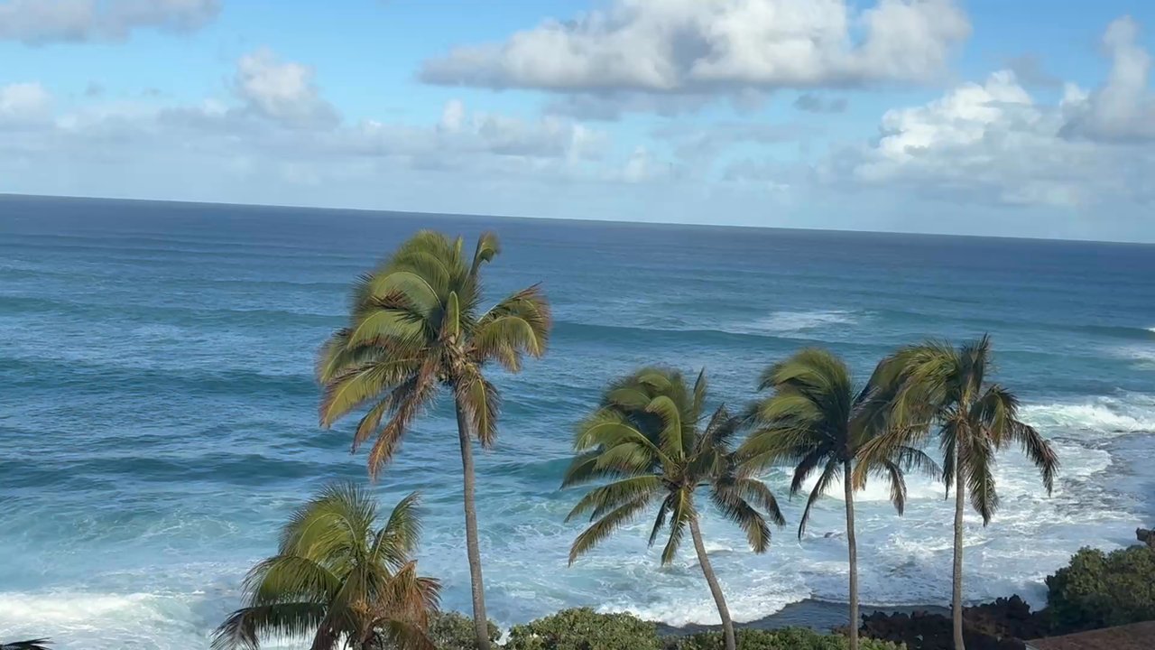 Turtle Bay Beach - Just a beach - Beaches Near Me - Kahuku, Hawaii