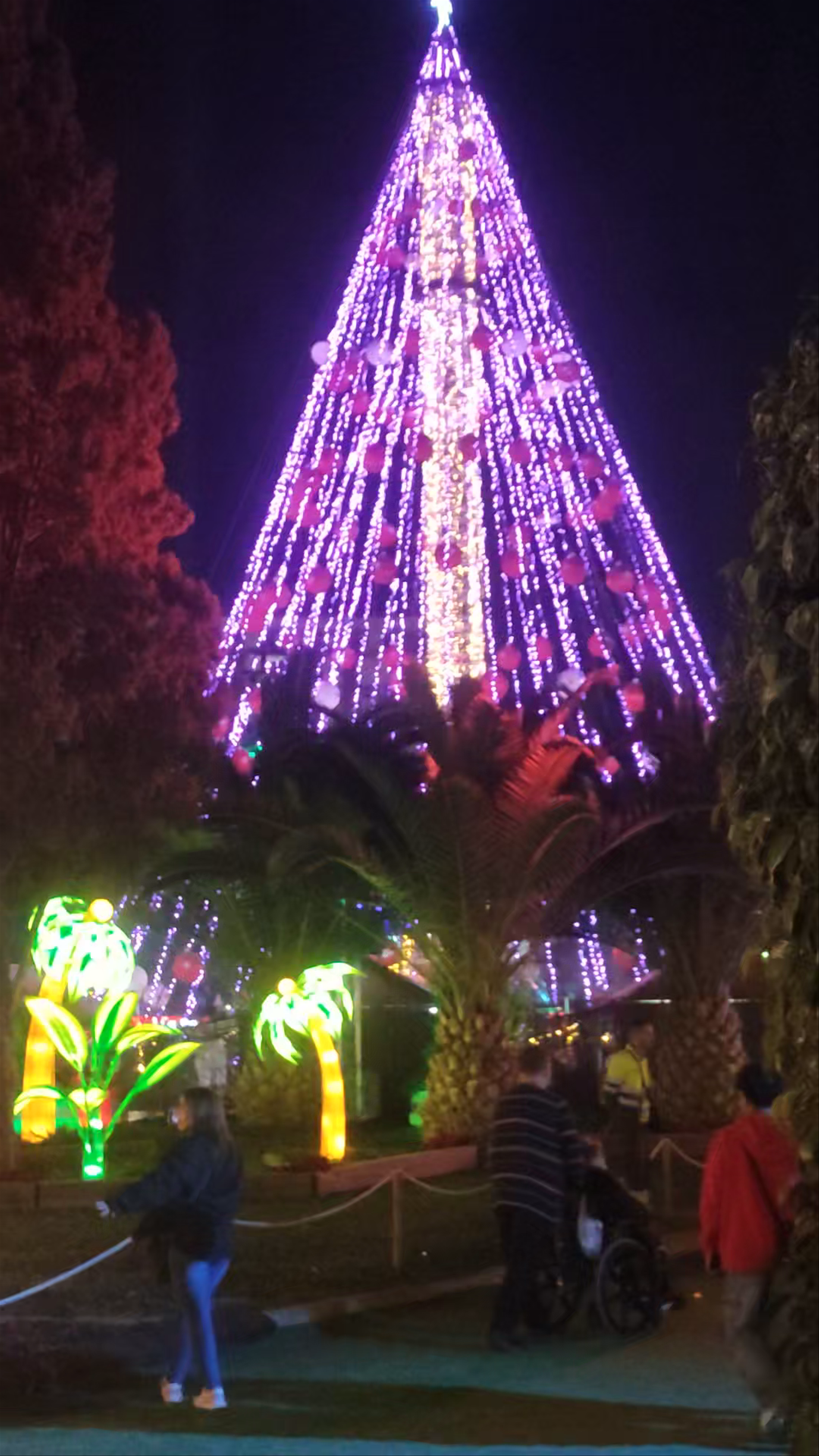Plaza Circular
