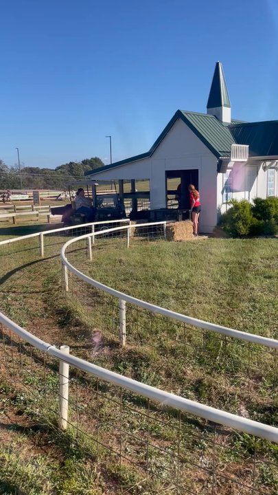 Denver Downs Farm - Attraction Farms Near Me - Anderson, South Carolina