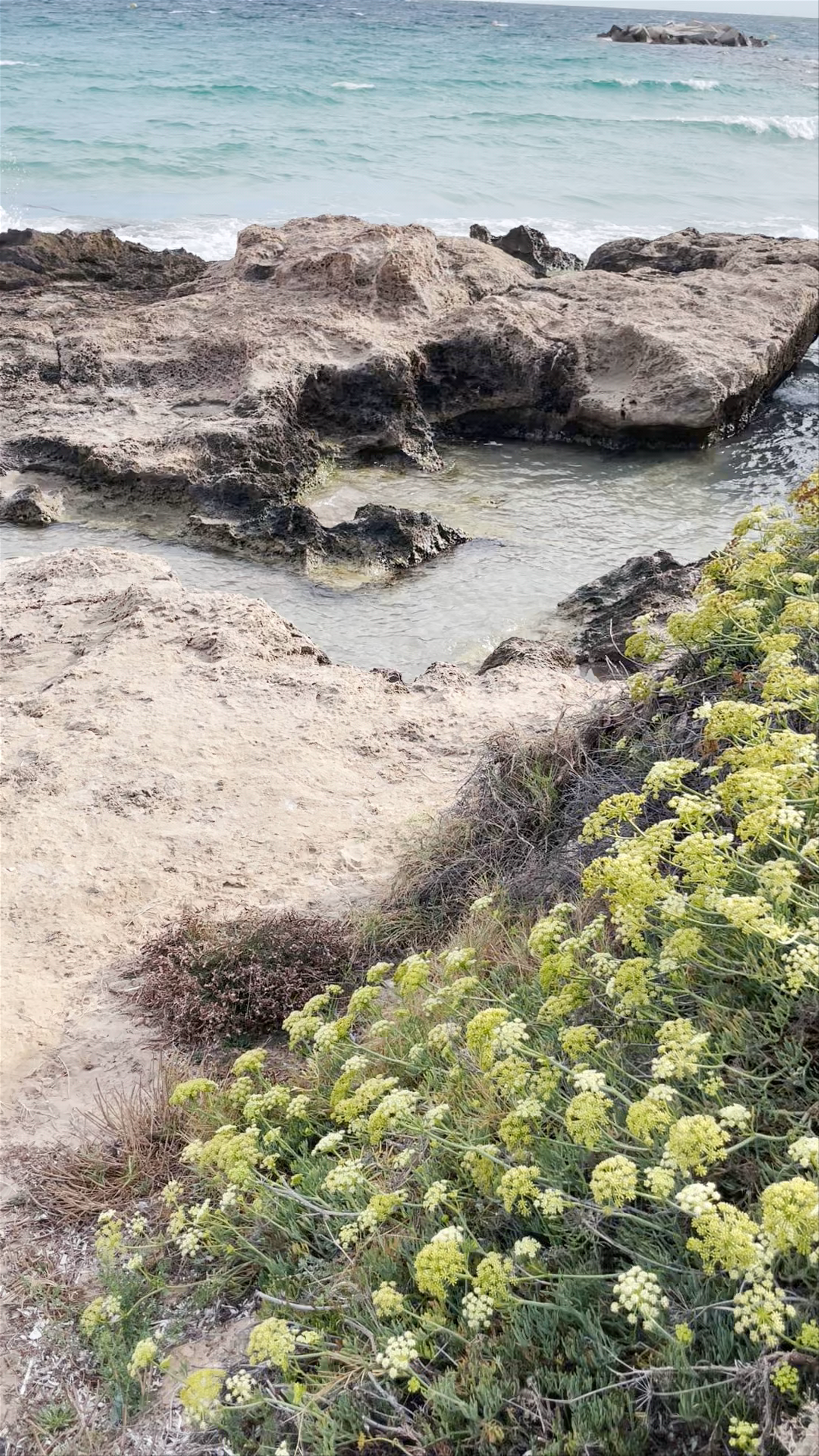 Conjunto Arqueológico Baños de la Reina
