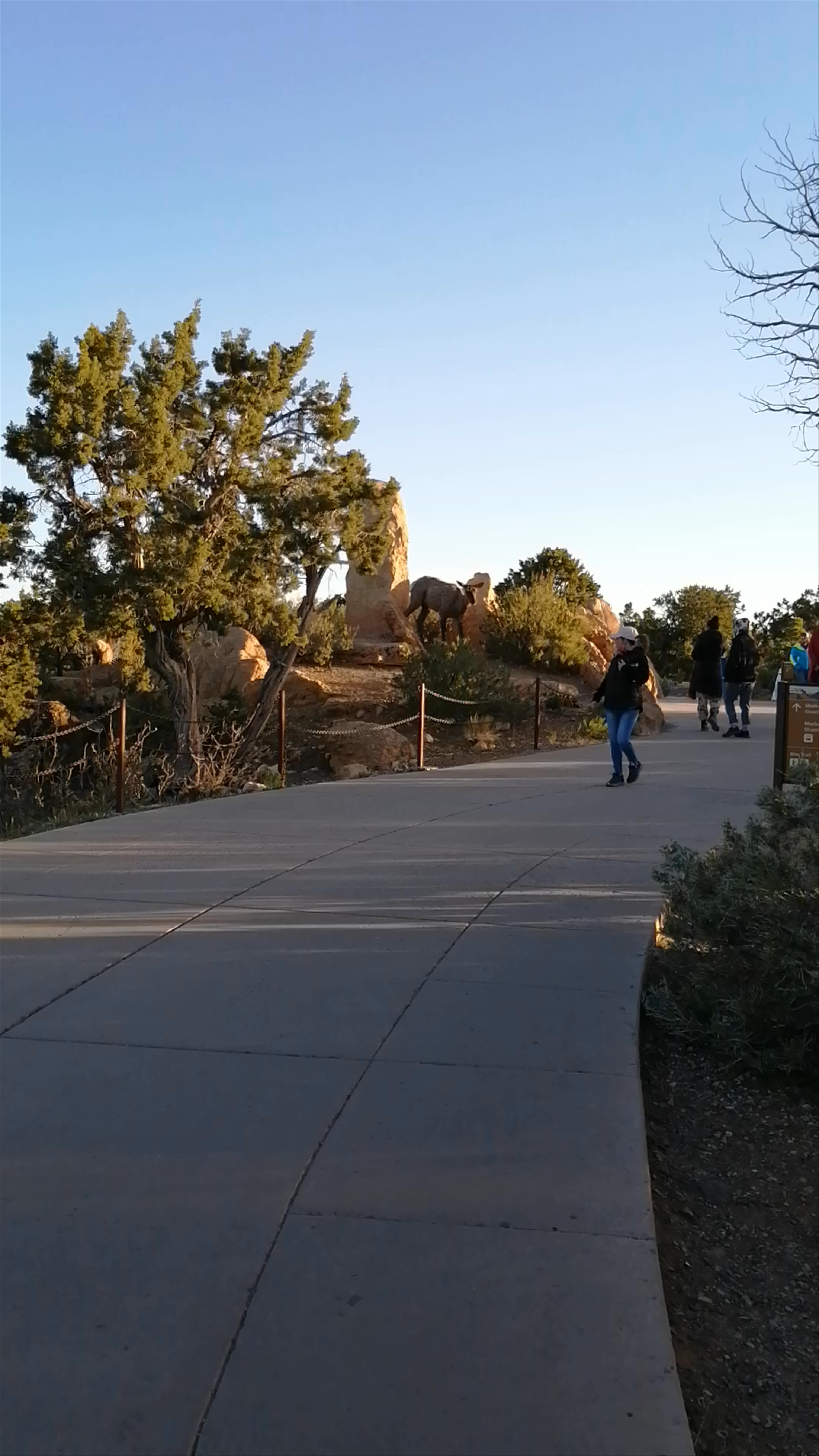 South Rim Trail