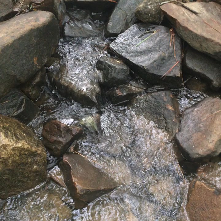 Moss Rock Preserve - Hiking Near Me - Hoover, Alabama