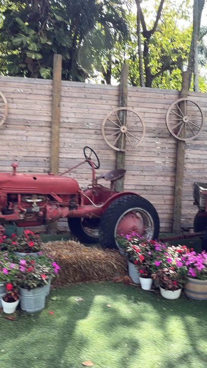 Tinez Farms - Attraction Farms Near Me - Miami, Florida