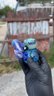 Small image 0