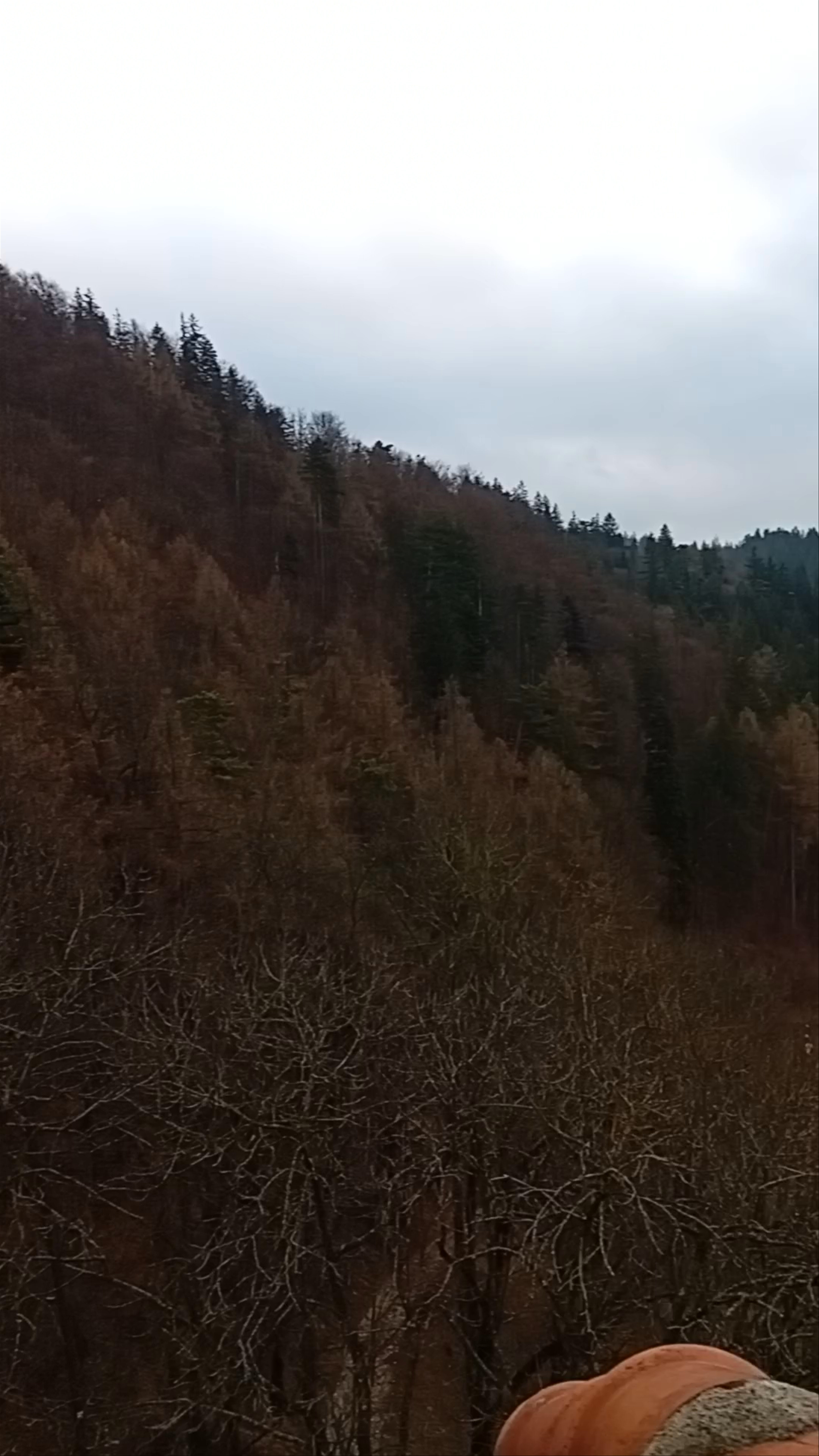 Bran Castle: Mystical Fortress in the Romanian Carpathians
