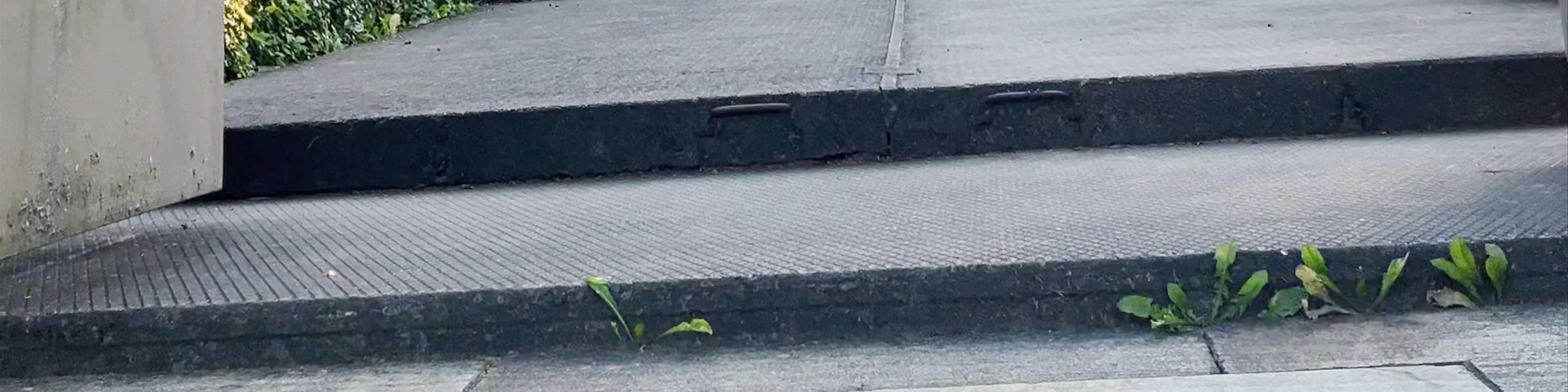 Višķu Svētā Jāņa Kristītāja Romas katoļu baznīca