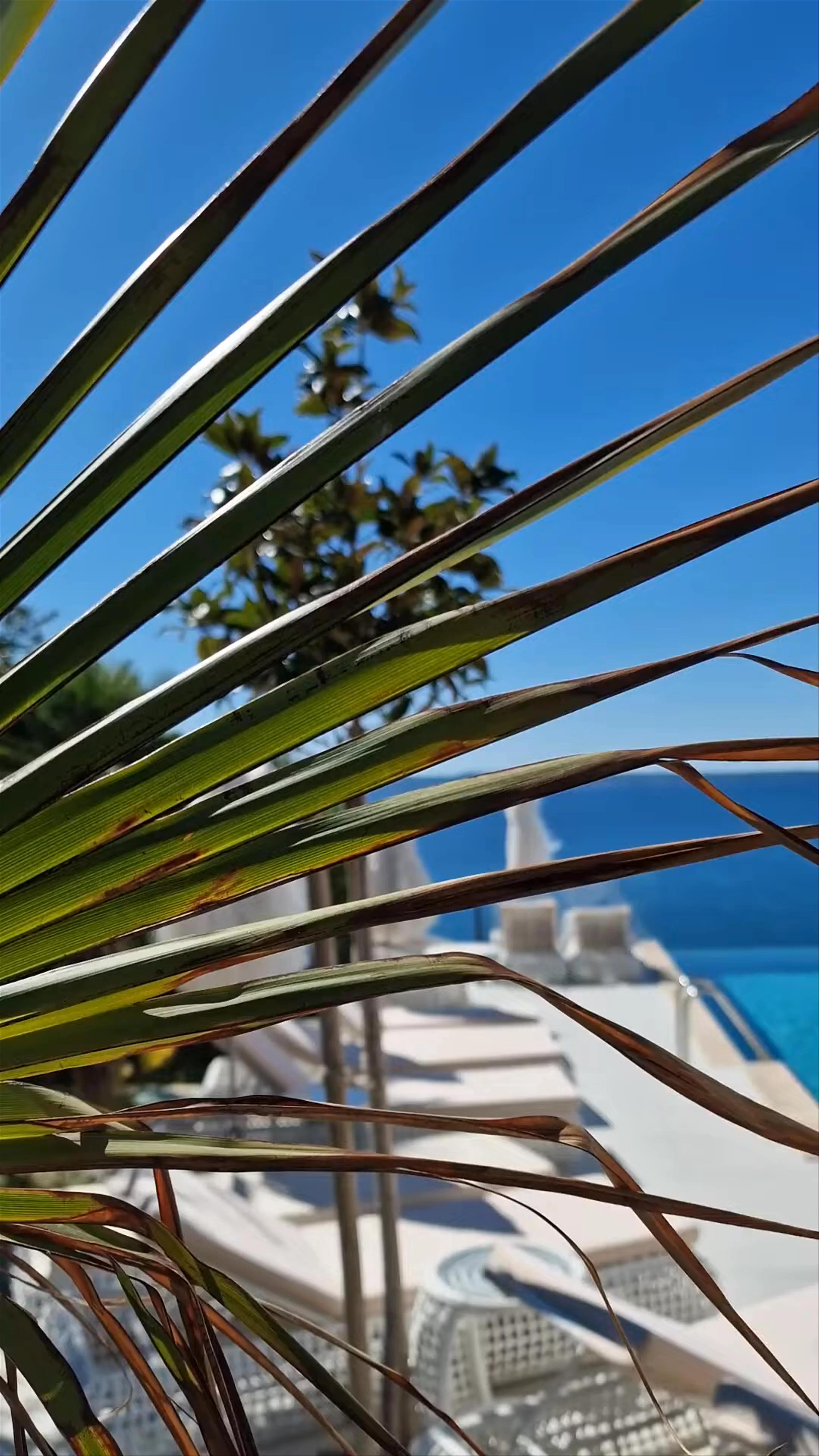 Gallery Luxury Suites and Rooms