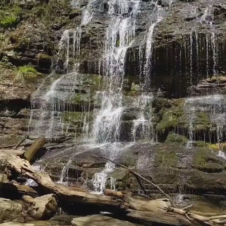 Station Cove Falls - Hiking Near Me - Walhalla, South Carolina