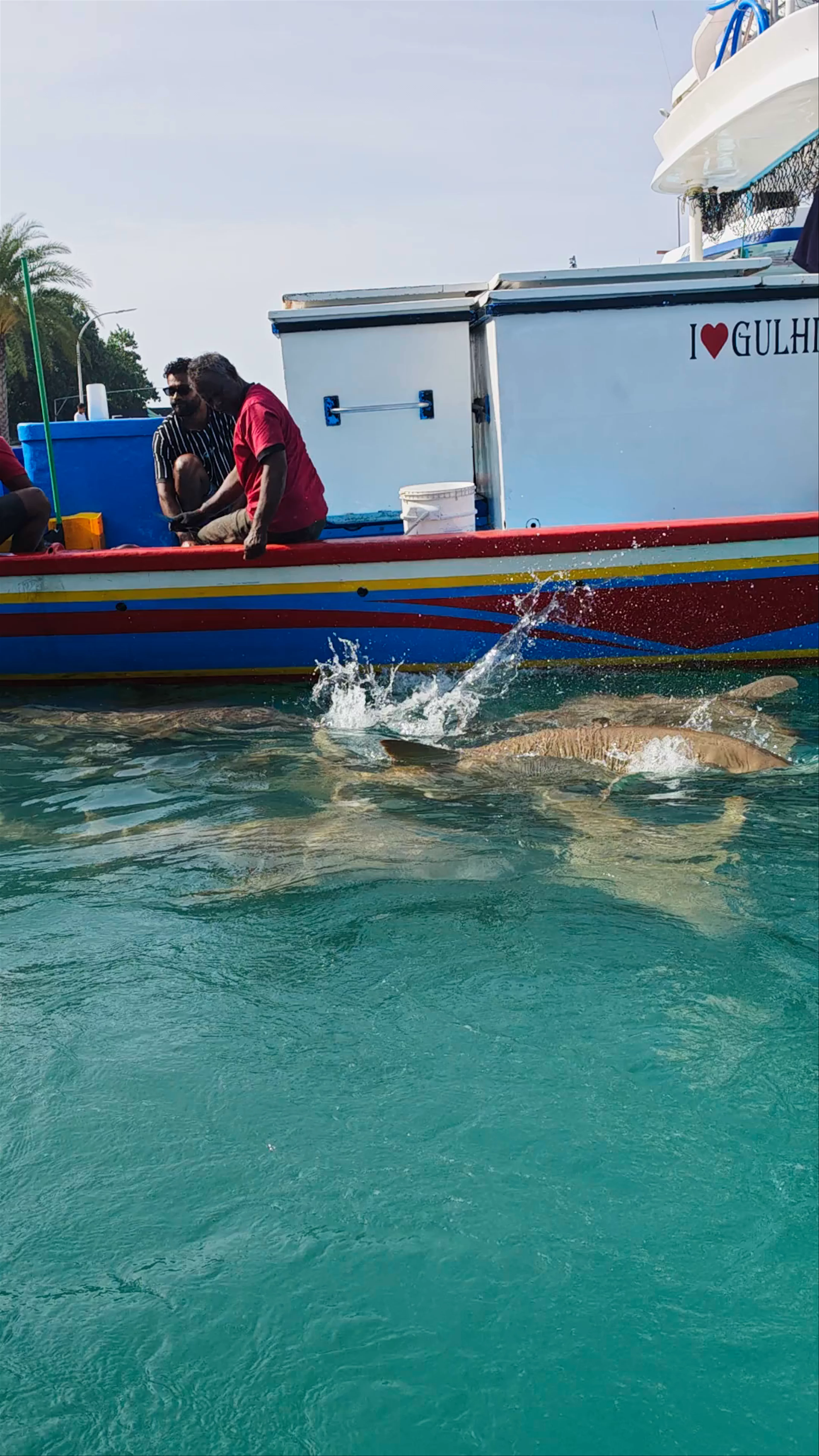 Gulhi Harbor