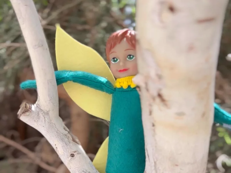 Tooth Pixie
