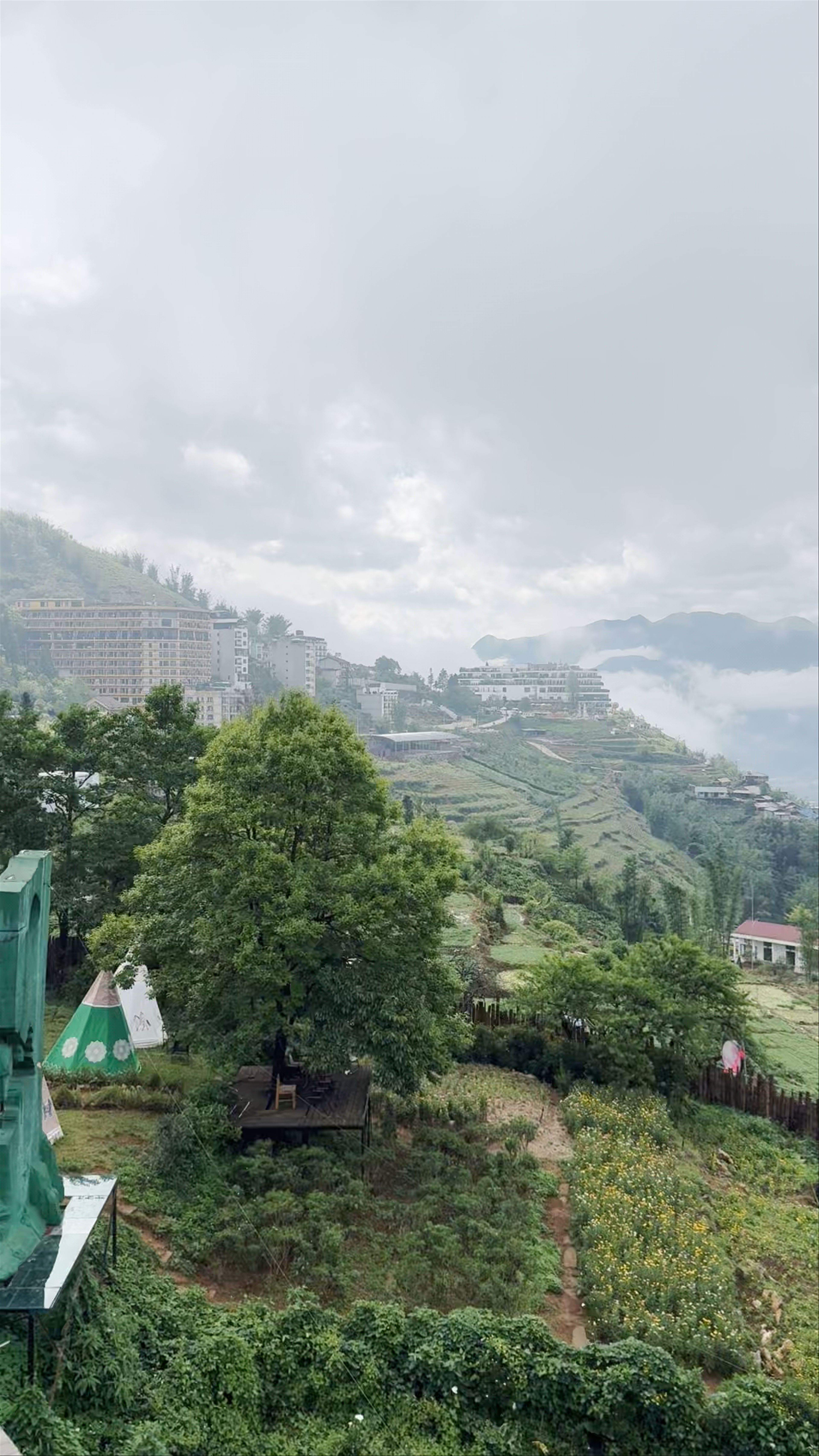 Mật Pet Farm: A Heartwarming Animal Encounter in Sa Pa, Vietnam