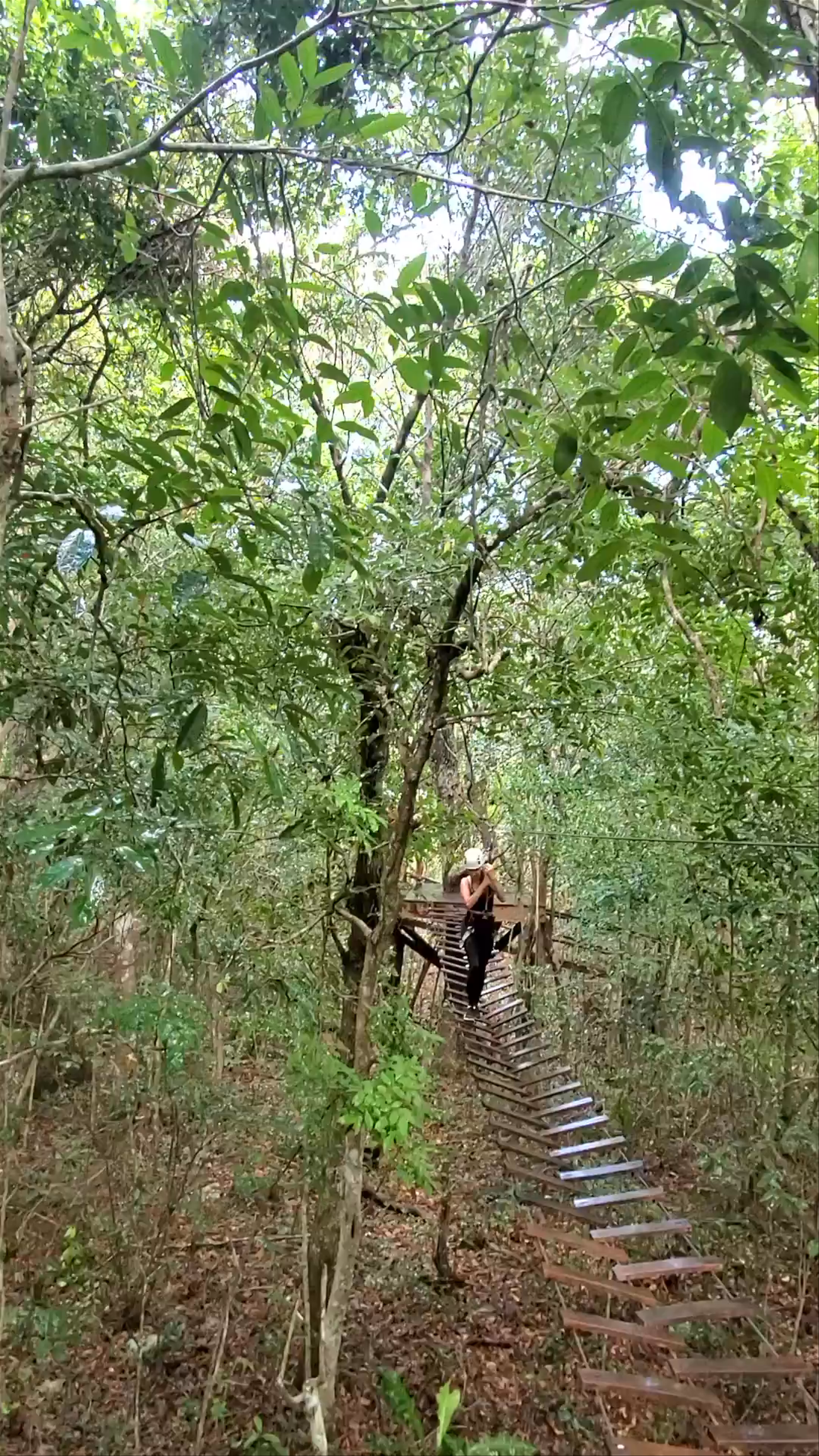 Selva Maya Eco Adventure Zipline in Tulum