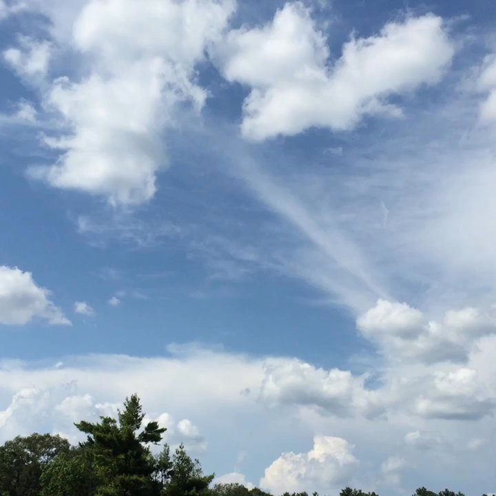 Cat Rock Park - Watching clouds can reduce my stress. #clouds # ##Sky #cielo #Wolken #雲 - Dog Parks Near Me - Weston, Massachusetts