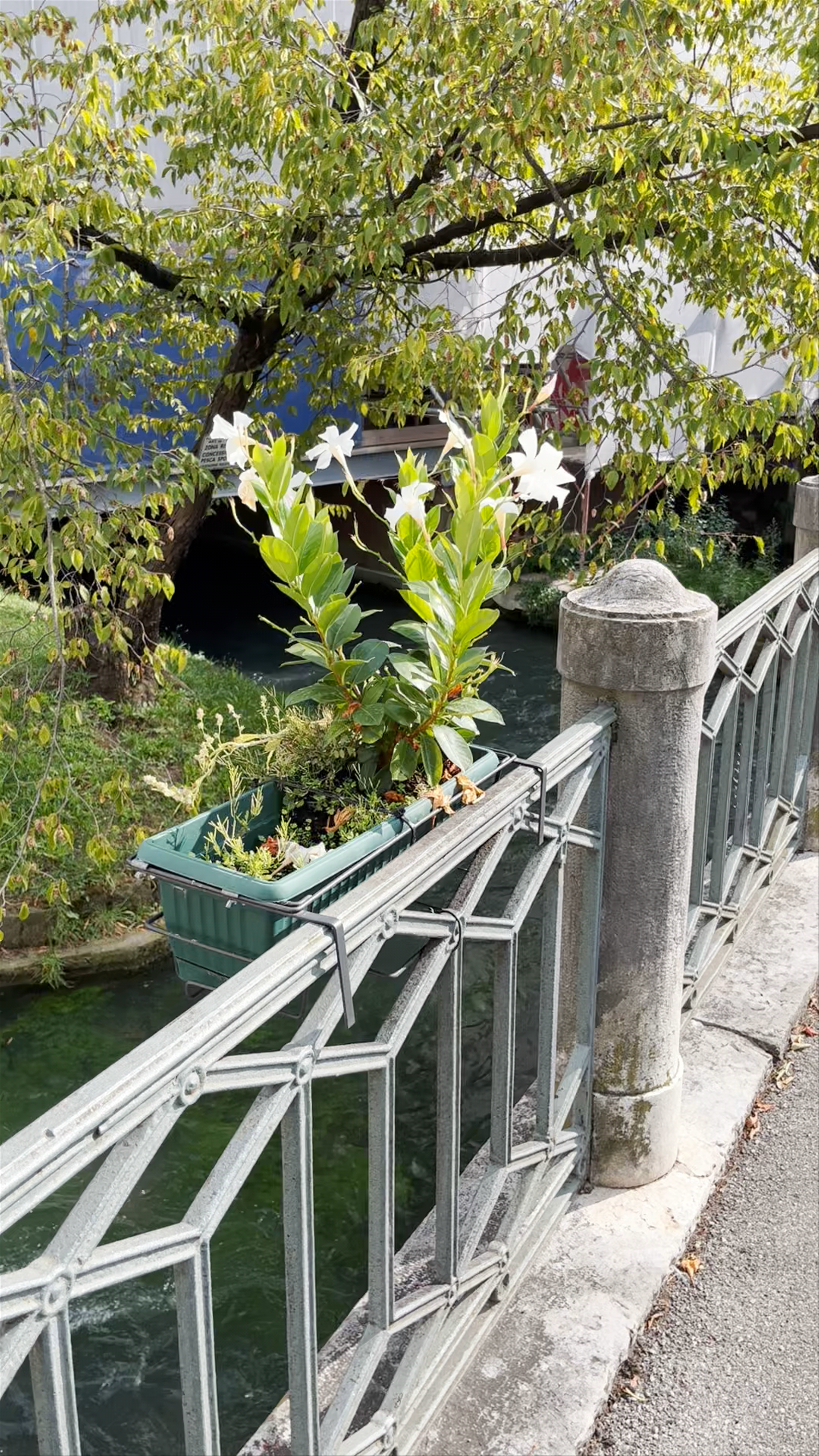 Serene Riverwalk at Ponte Sant'Agata, Treviso