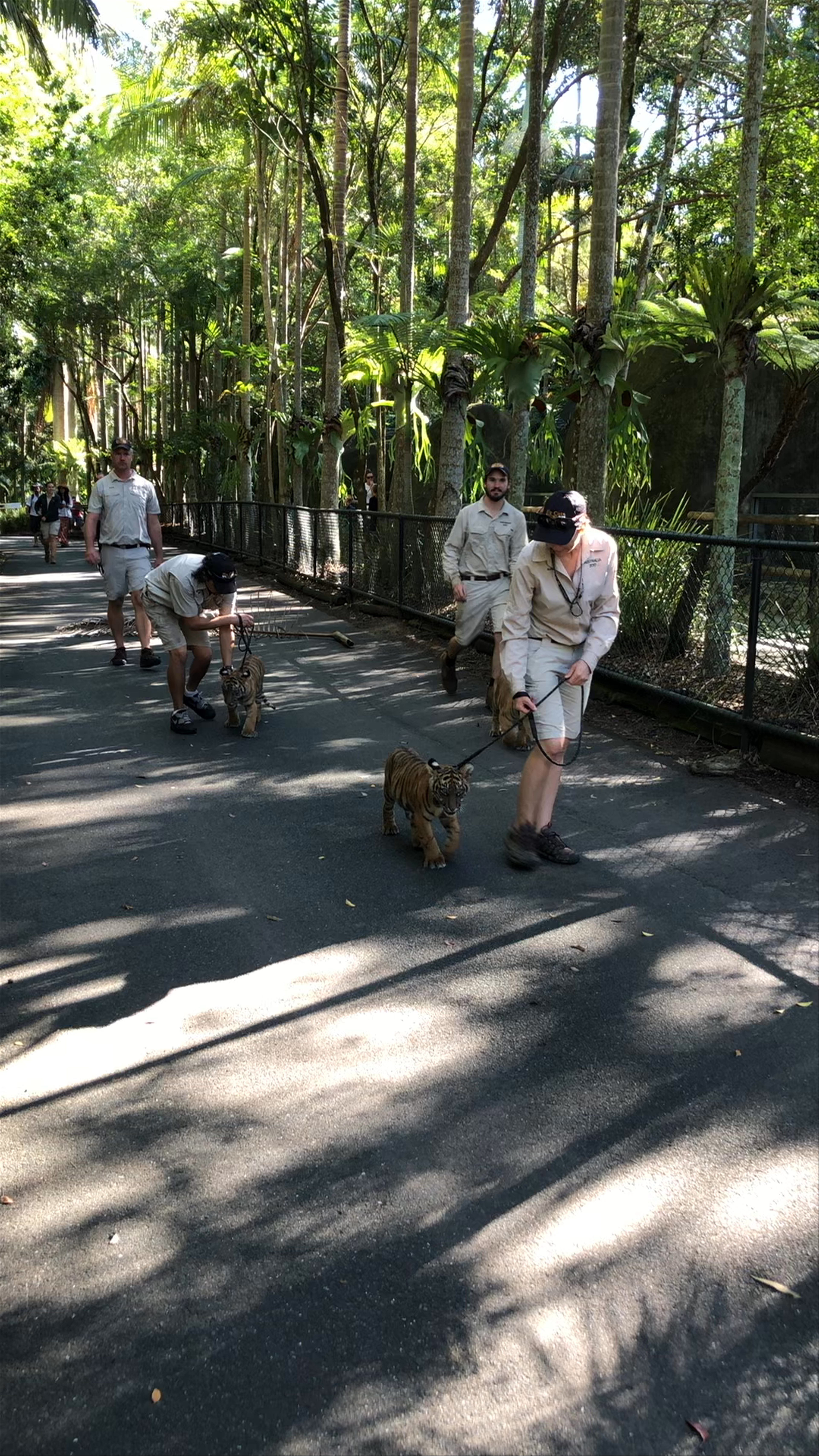 Australia Zoo