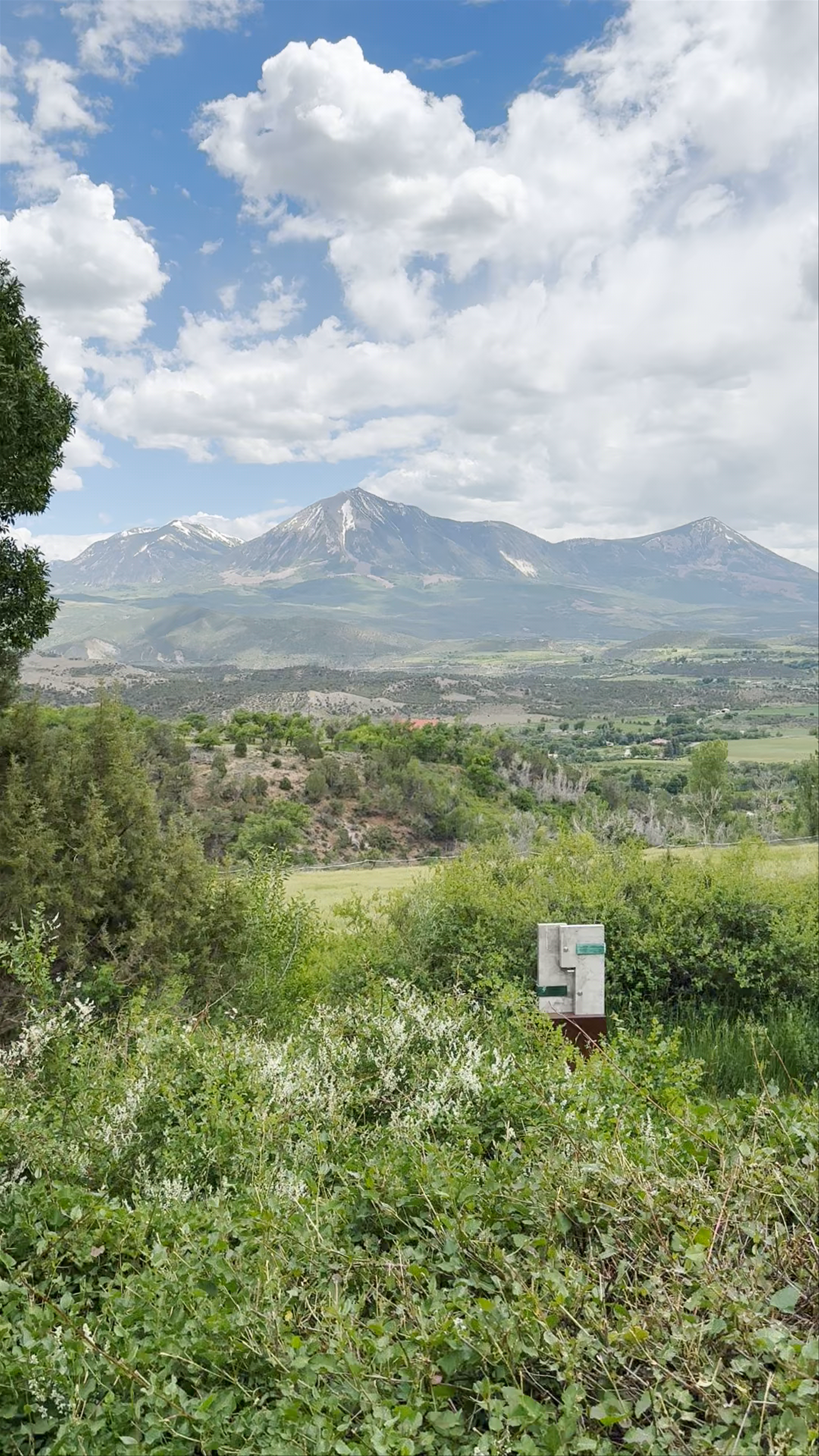 Azura Cellars and Gallery