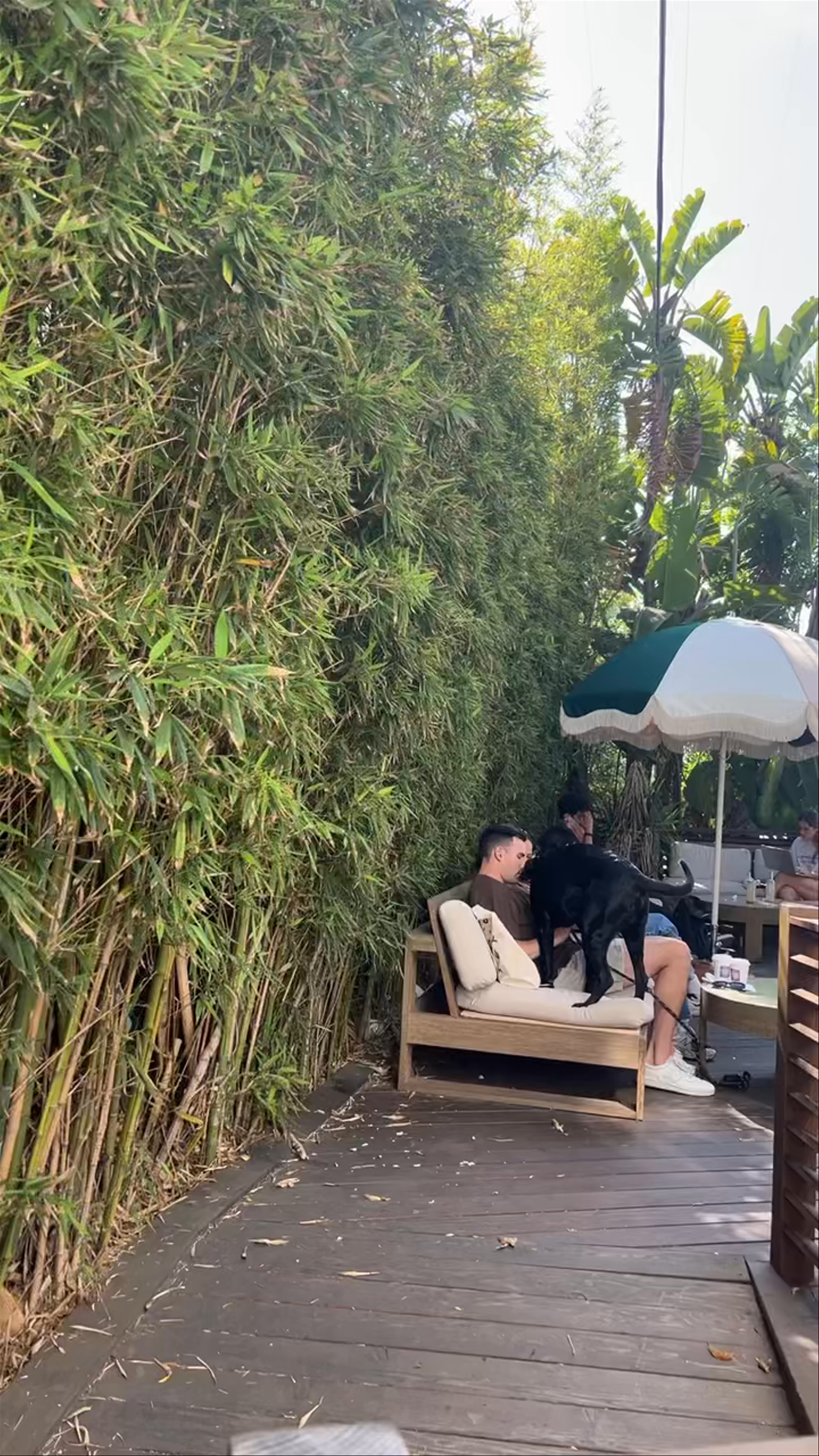 Boulevard Coffee: Sunny Outdoor Hangout in Venice, Los Angeles