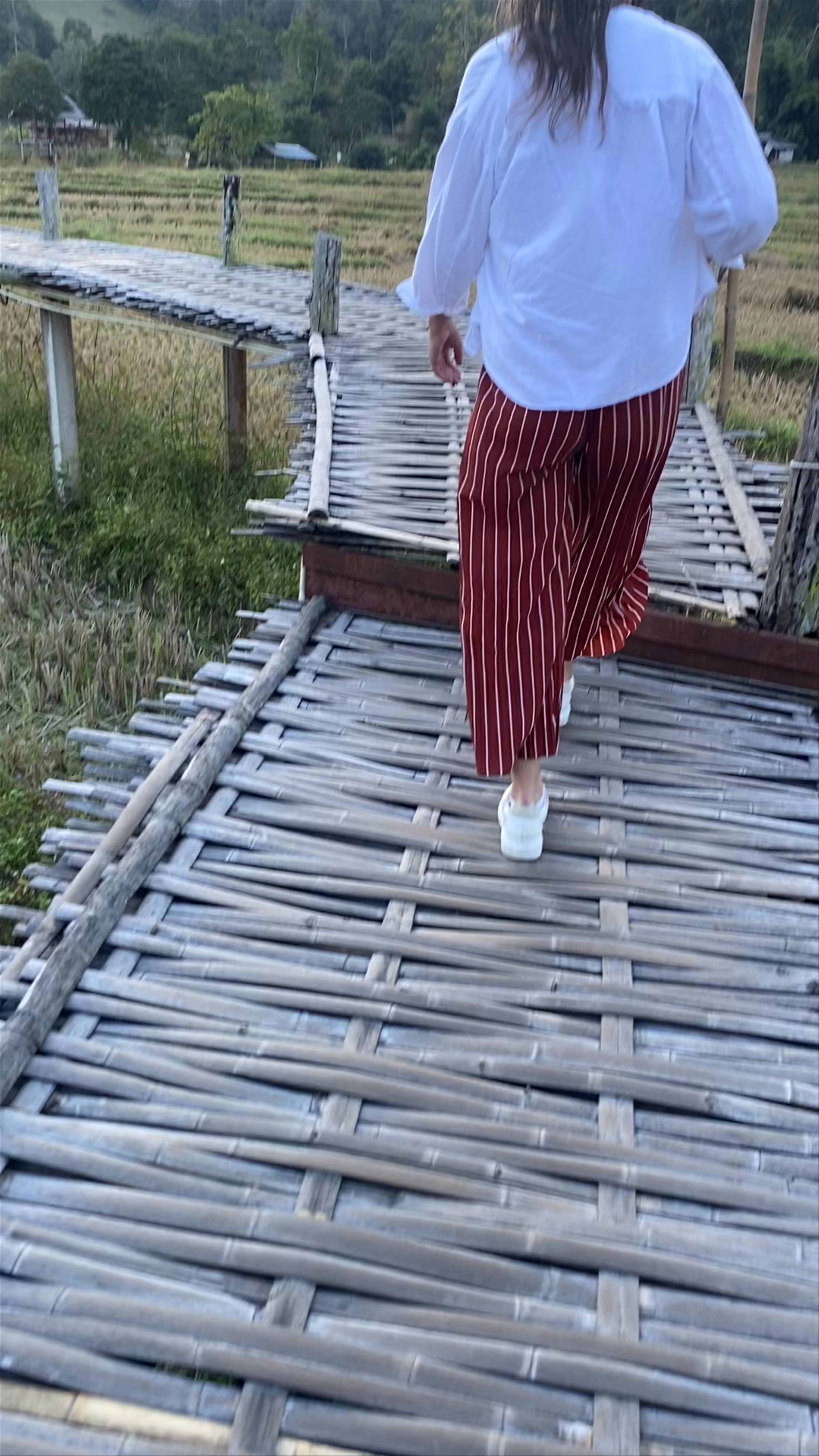 Bamboo Bridge Walk at Pai Amidst Serene Rice Fields