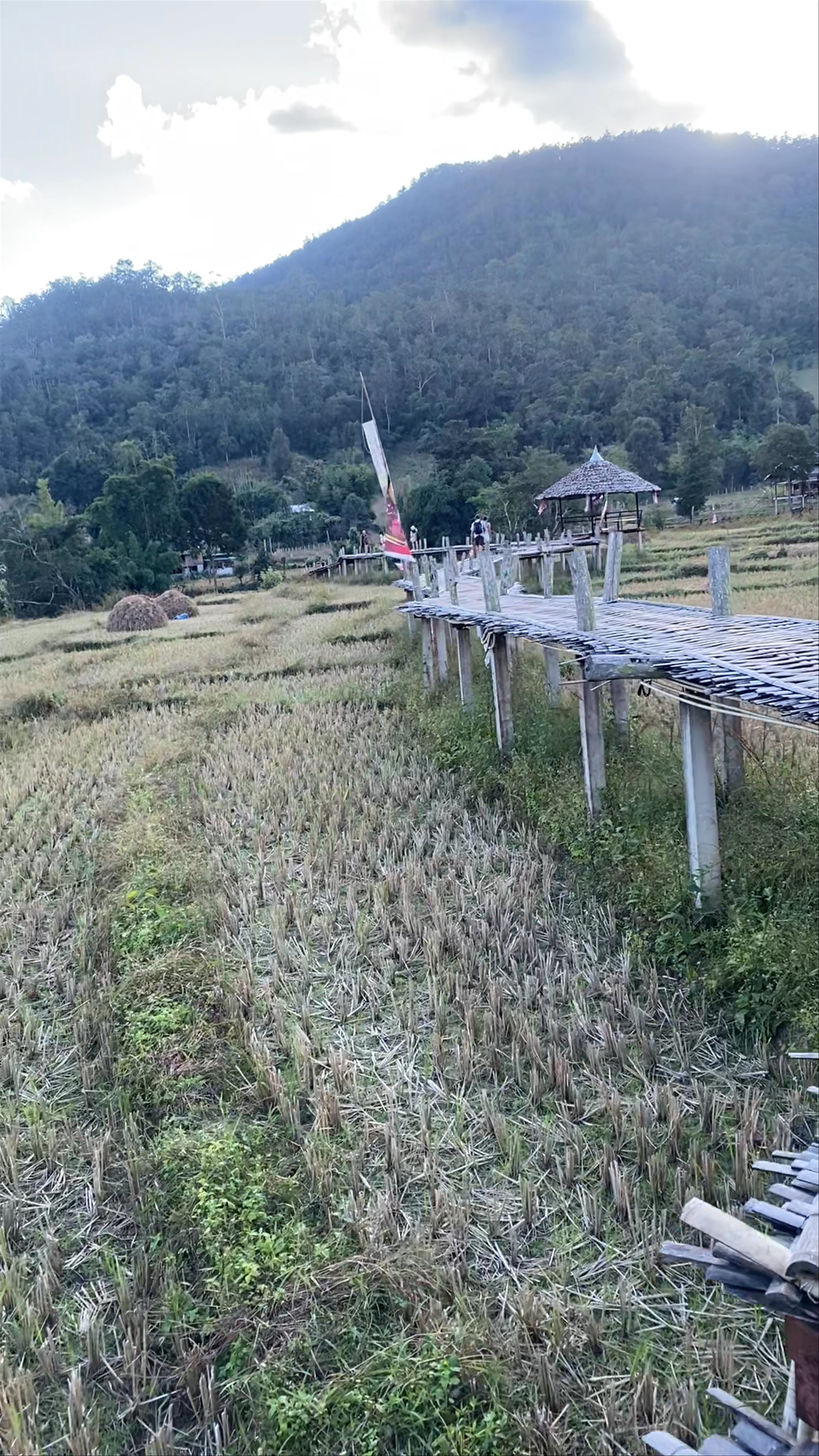 Bamboo Bridge Pai