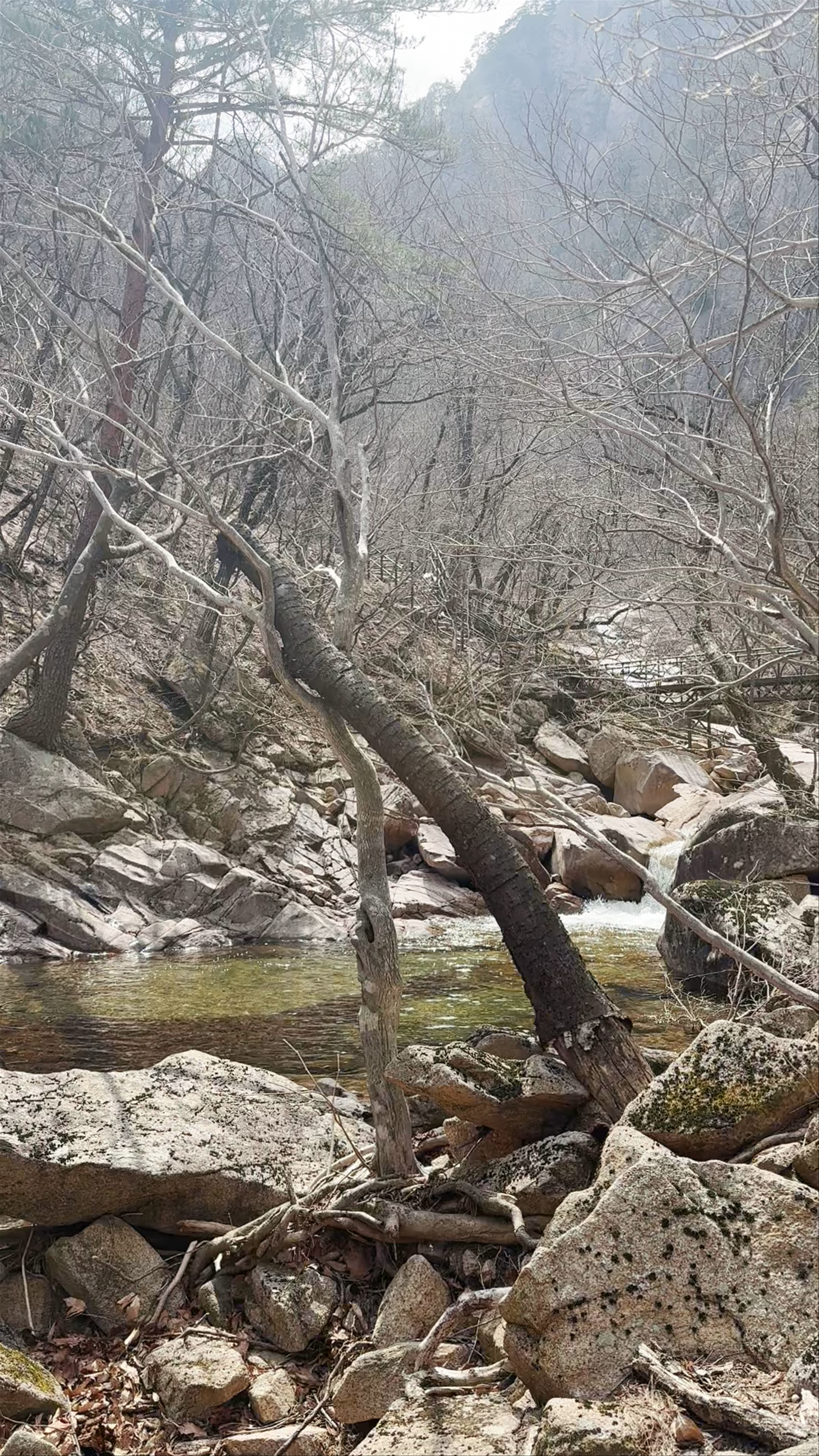 Serene Spring Hike at Seoraksan National Park