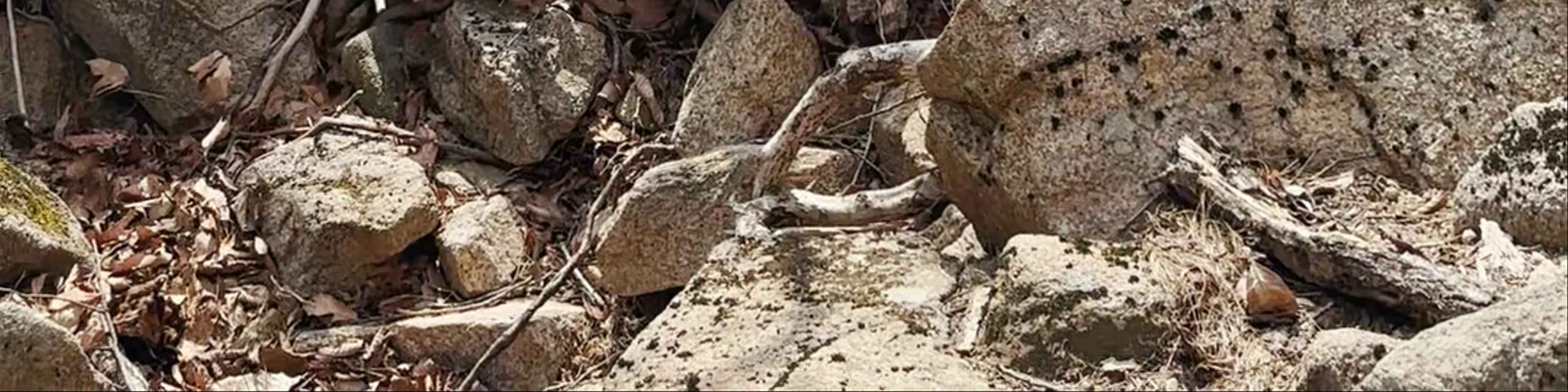 Seoraksan National Park