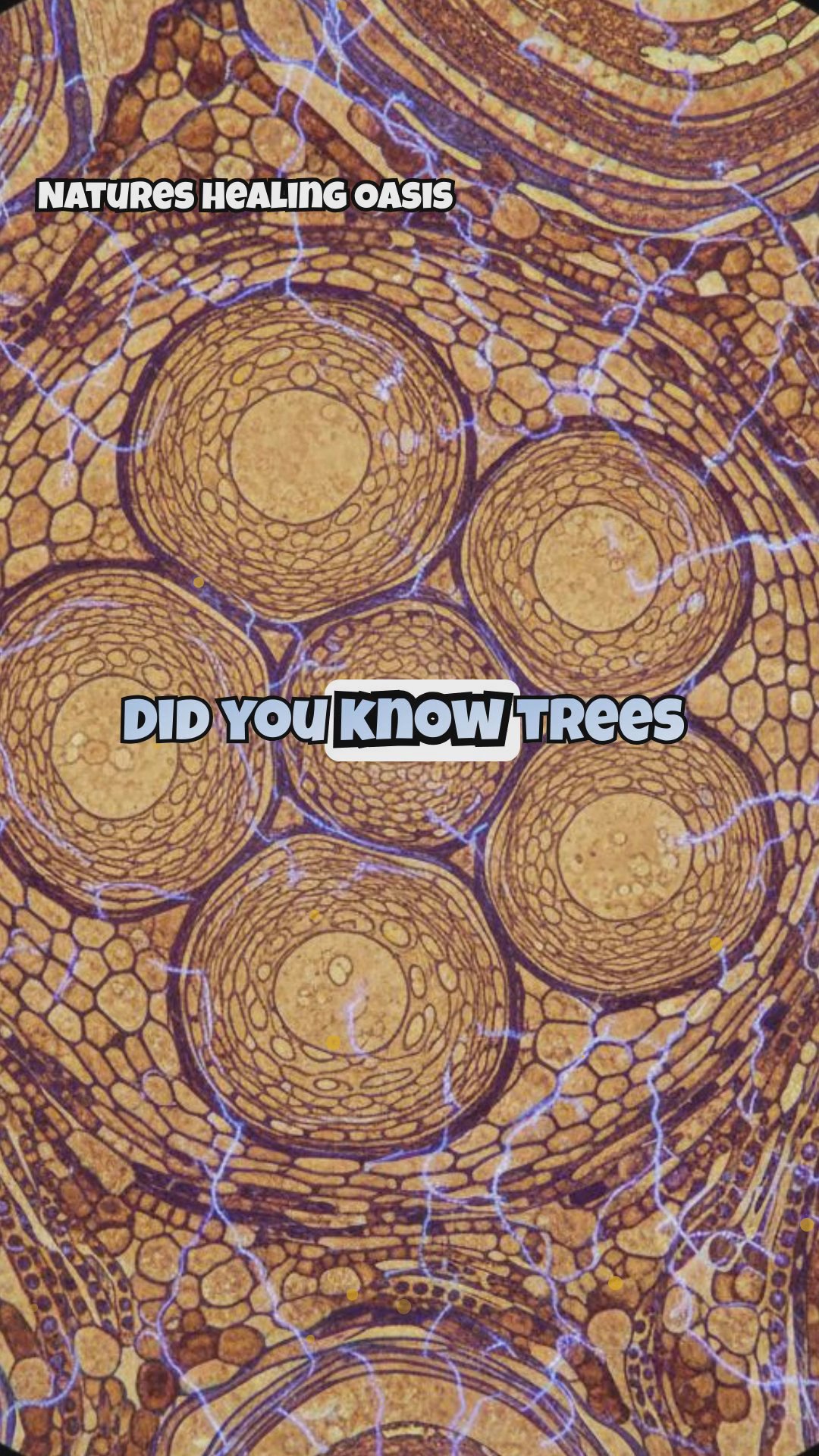 The Science Behind Tree Energy: How Trees Generate and Emit Bioelectric Fields