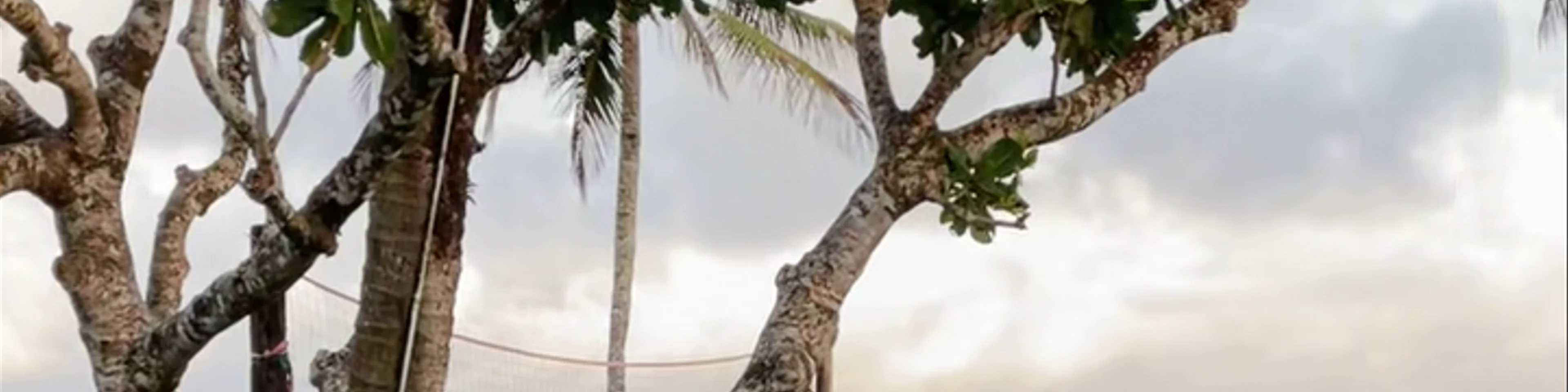 Uprising Beach Resort