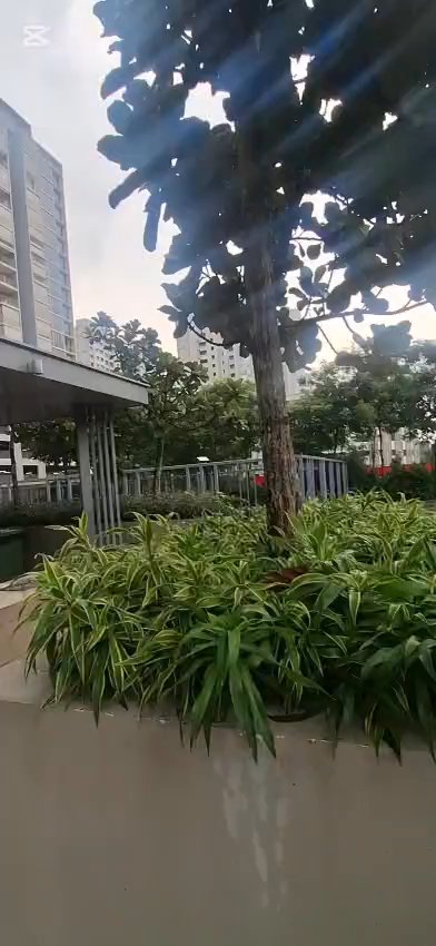 1 Bed Executive Condo for Sale in  Sol Acres - Image 10