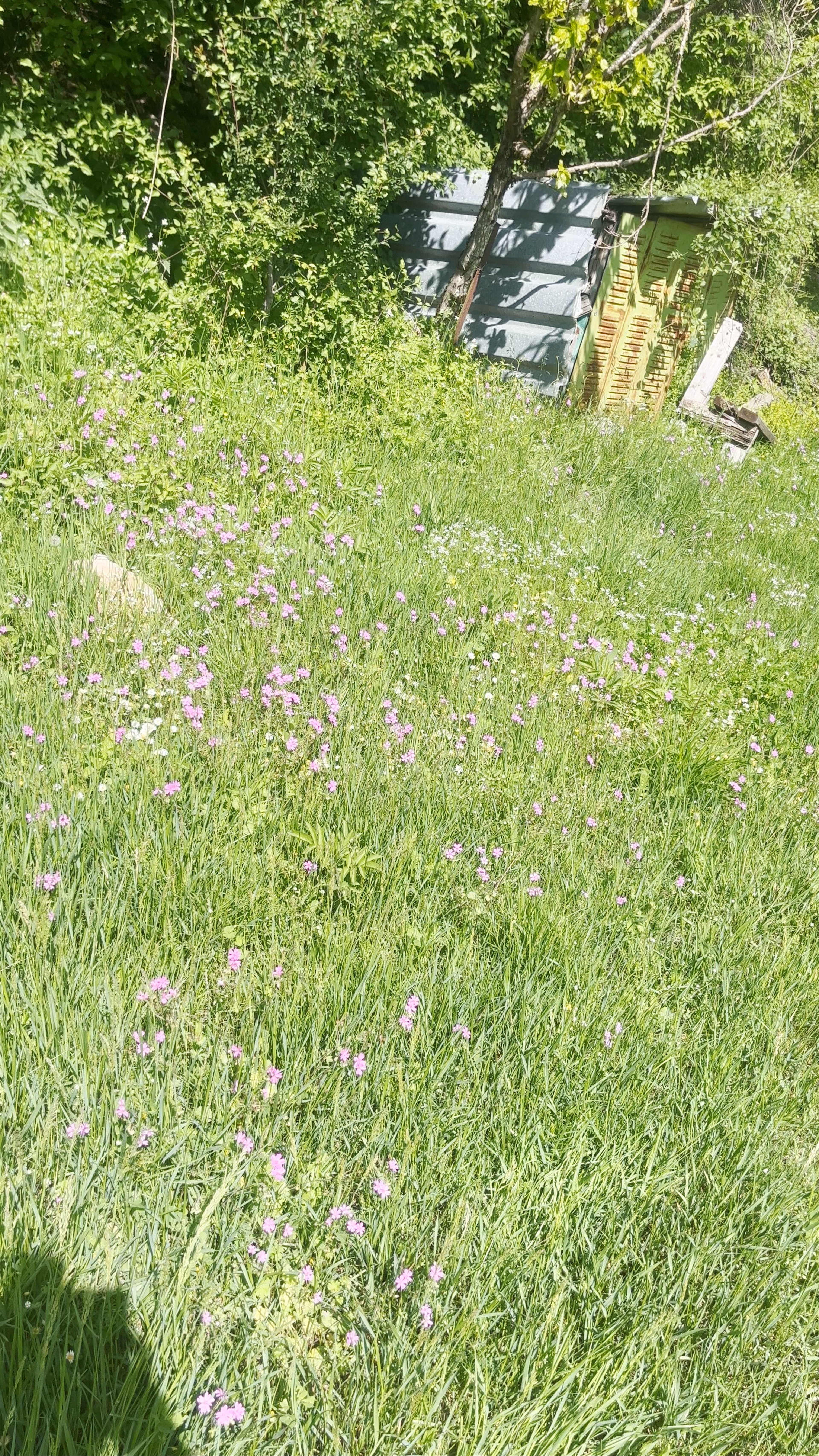 Monastère de la Sainte Transfiguration de Sotiros