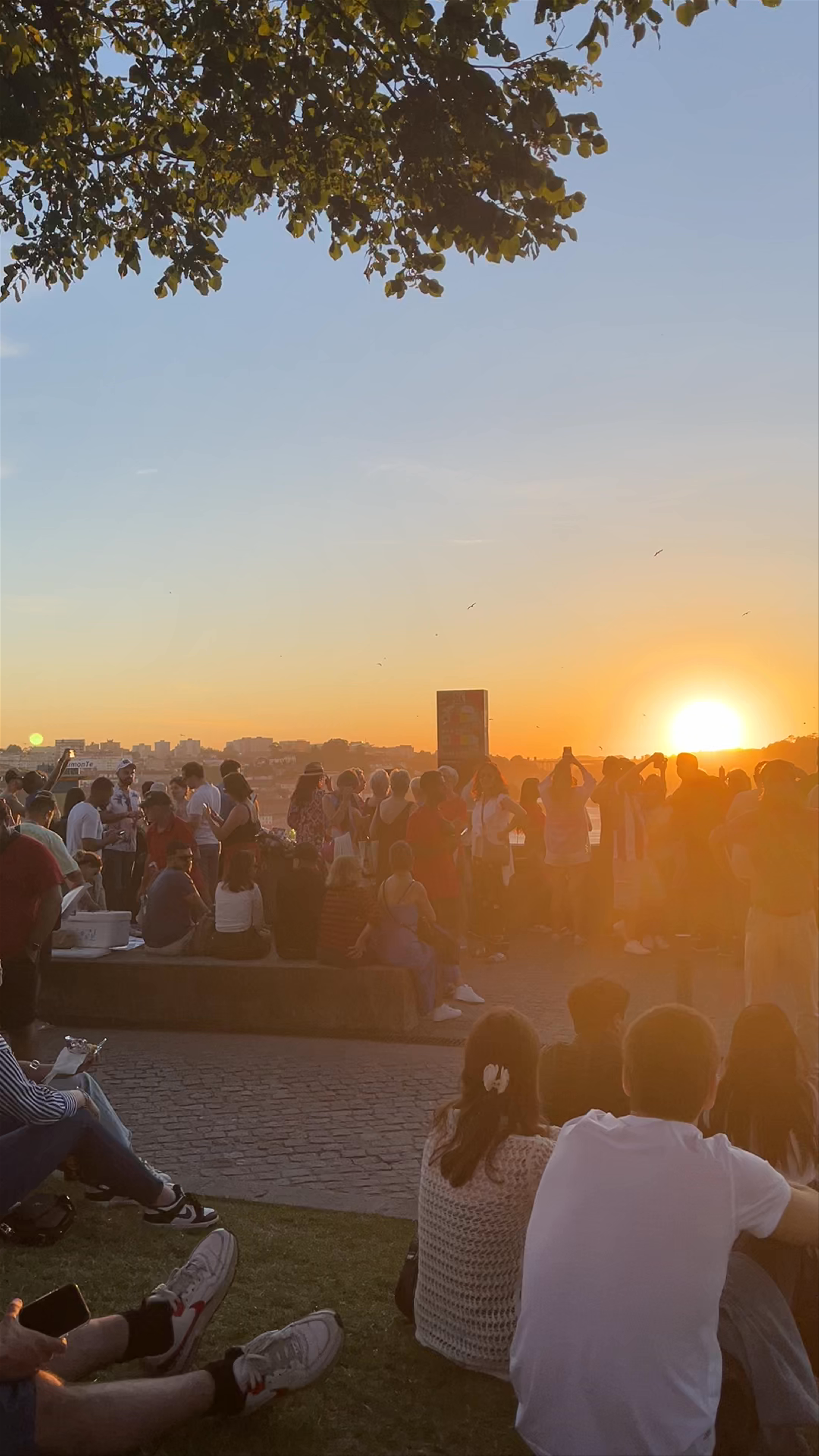 Sunset Vibes at Garden of Morro, Vila Nova de Gaia