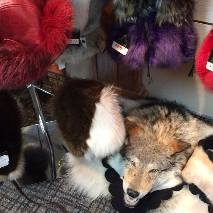 Sitka Fur Gallery - Awesome furs - Leather Goods Near Me - Park City, Utah