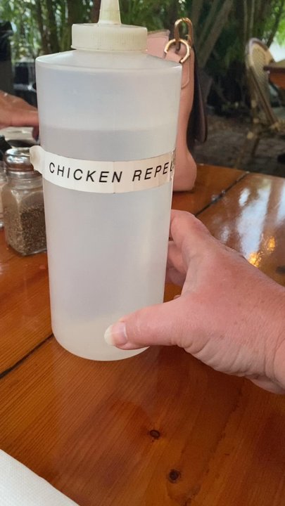 Rams Head Southernmost - Chicken repellent (water) dispenser at each table - American Near Me - Key West, Florida