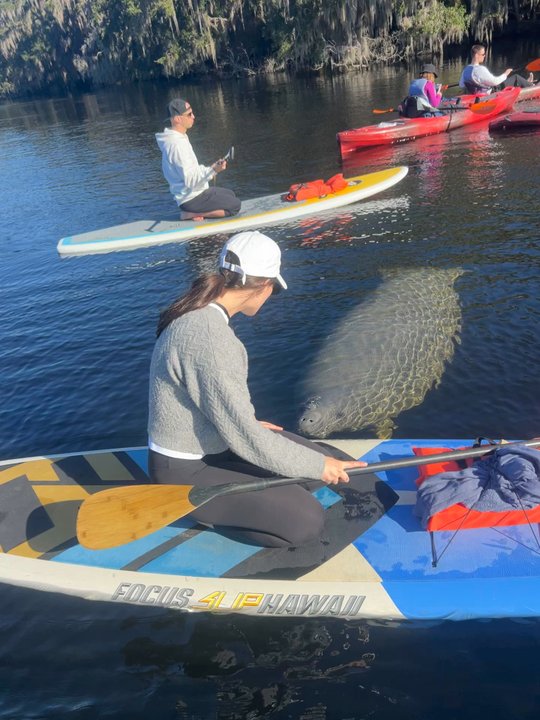 Paddleboard Orlando - Paddleboarding Near Me - Longwood, Florida