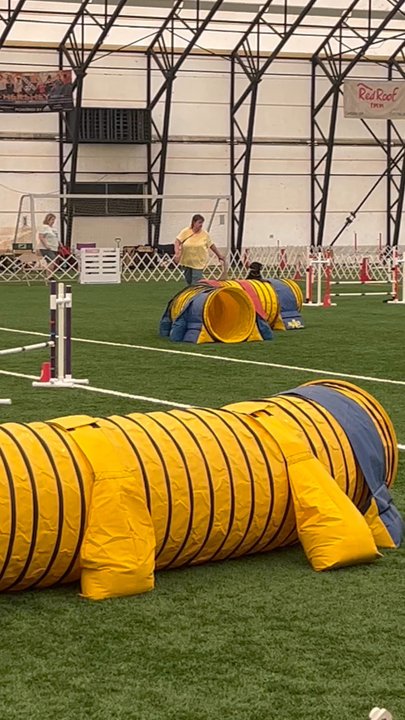 In The Net - Stadiums & Arenas Near Me - Palmyra, Pennsylvania