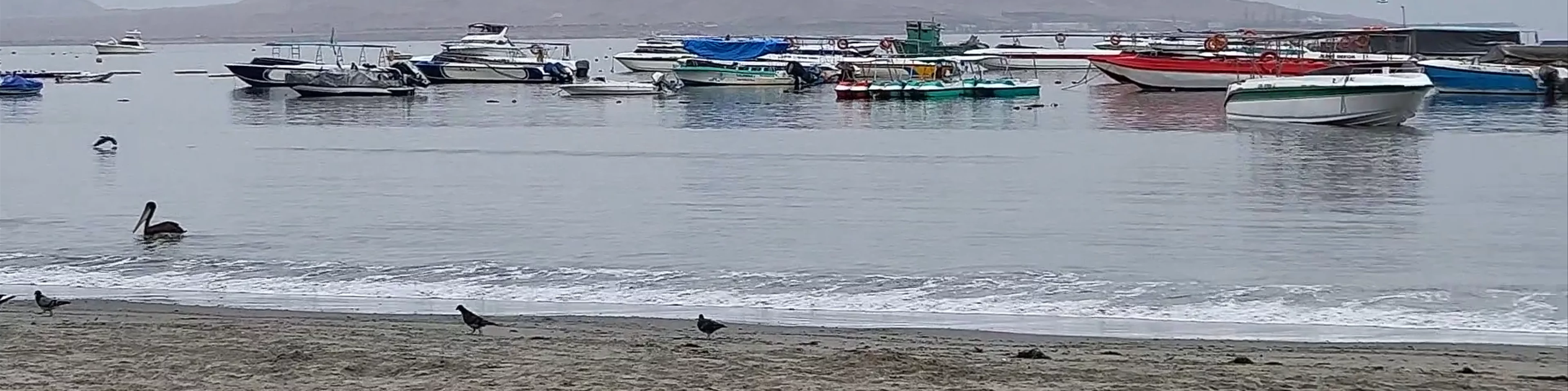 Playa Paracas