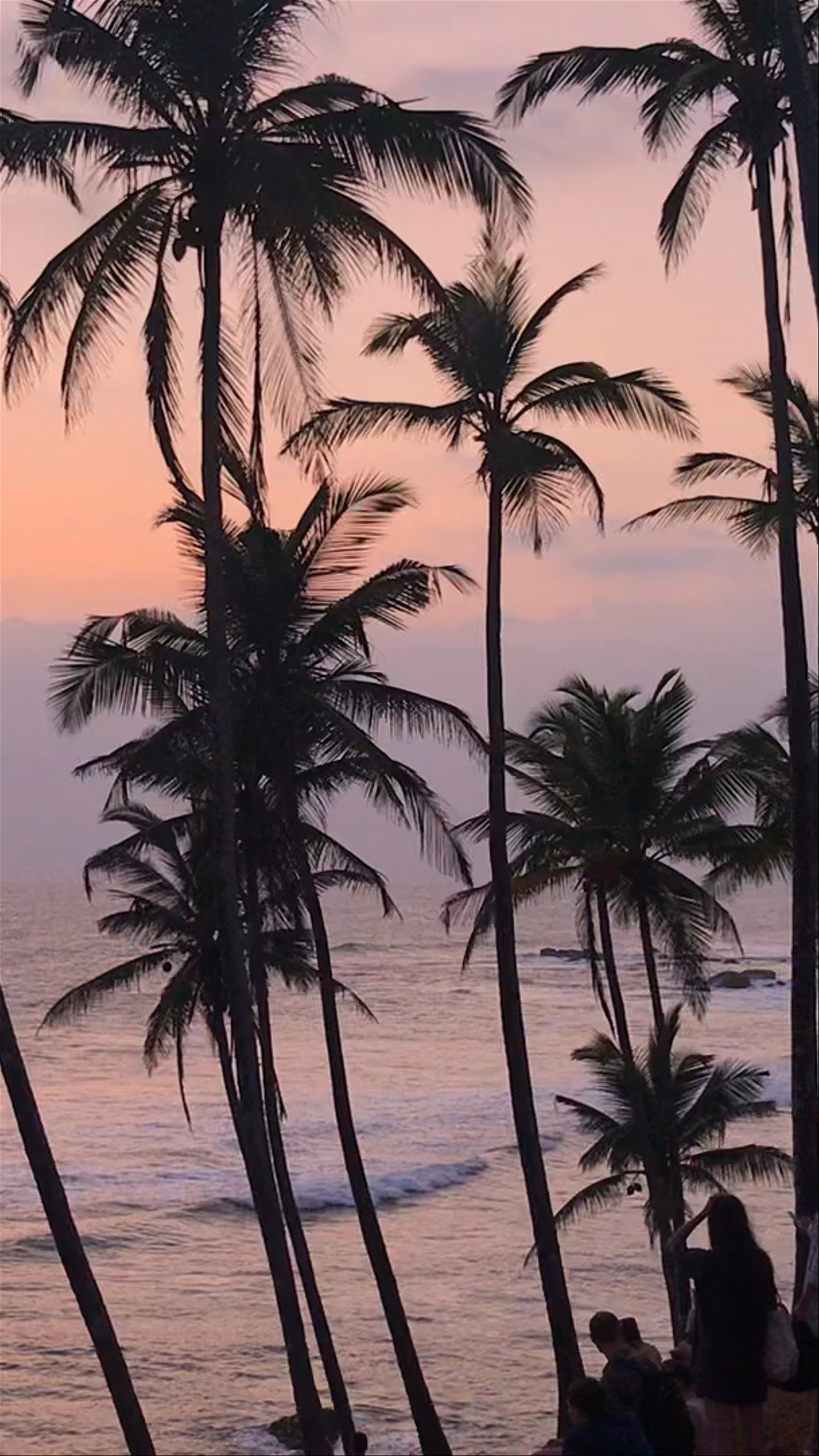 Sunset Serenity at Coconut Tree Hill, Mirissa, Sri Lanka