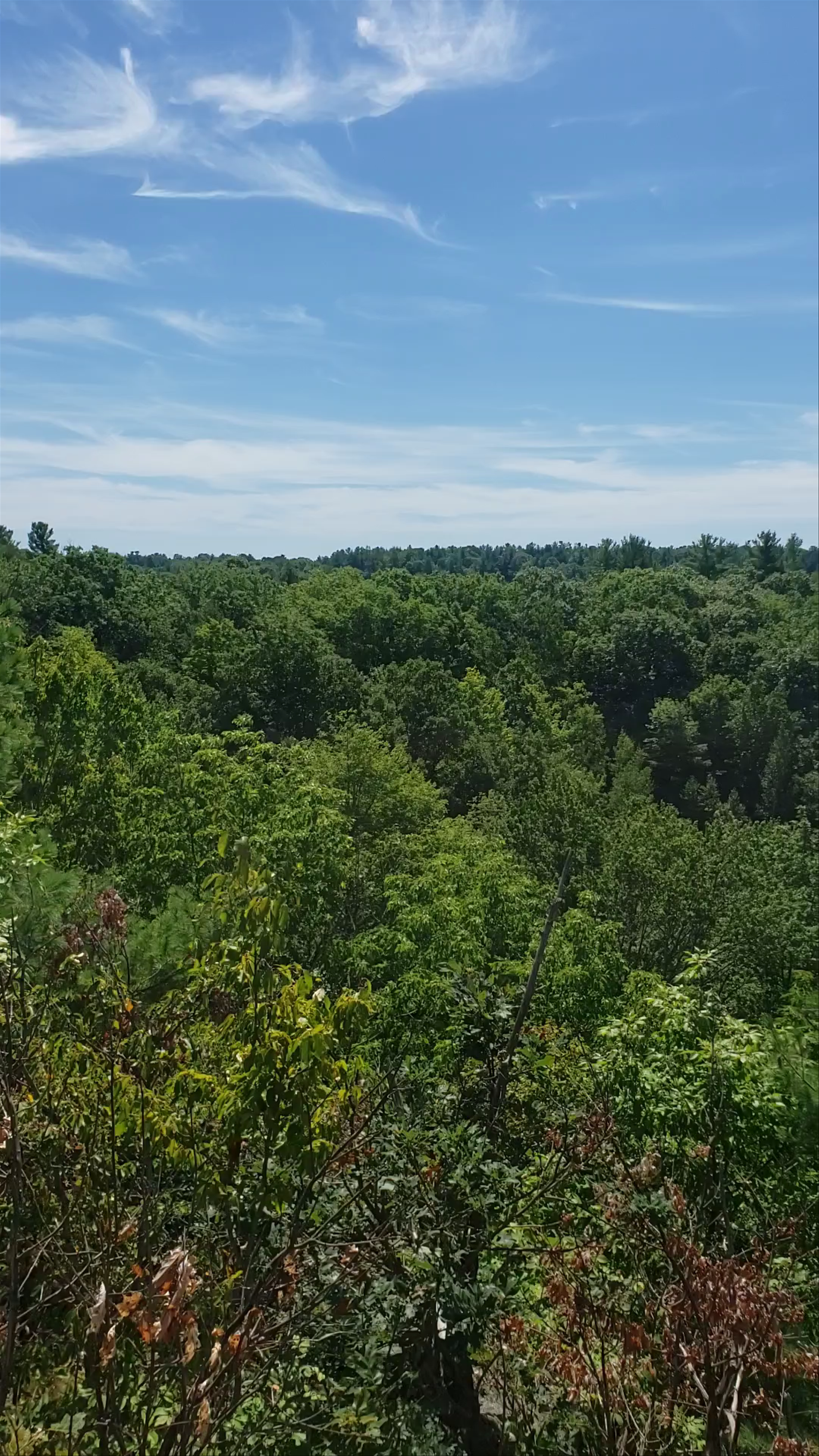 Marble Rock Conservation Area